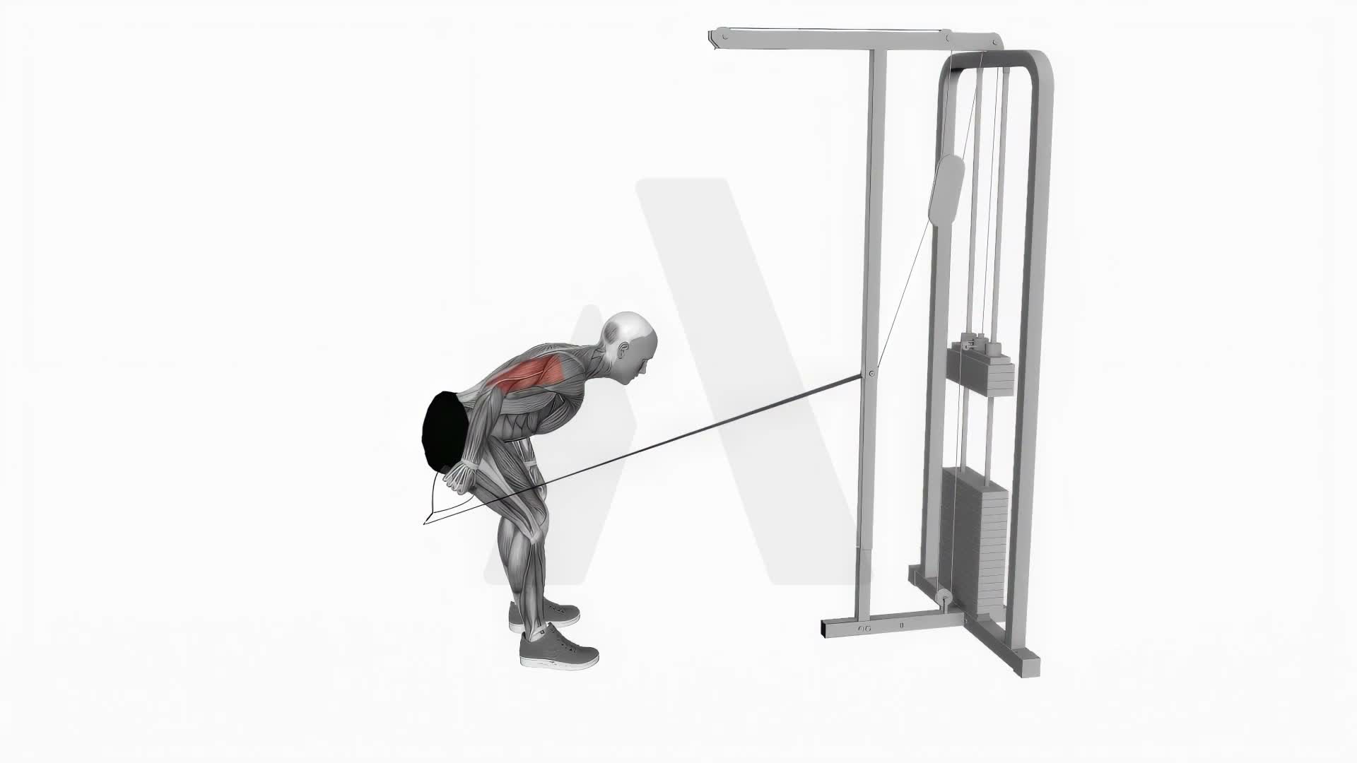 Cable Neutral Grip Kickback exercise demonstration