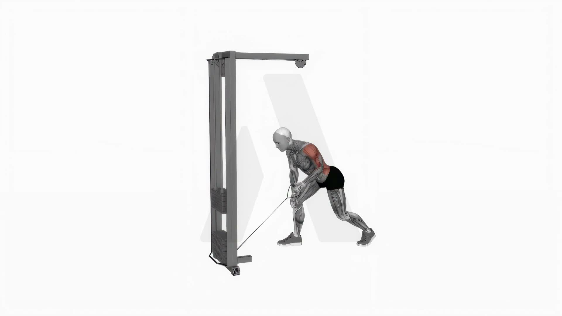 Cable One Arm Bent Over Row exercise demonstration