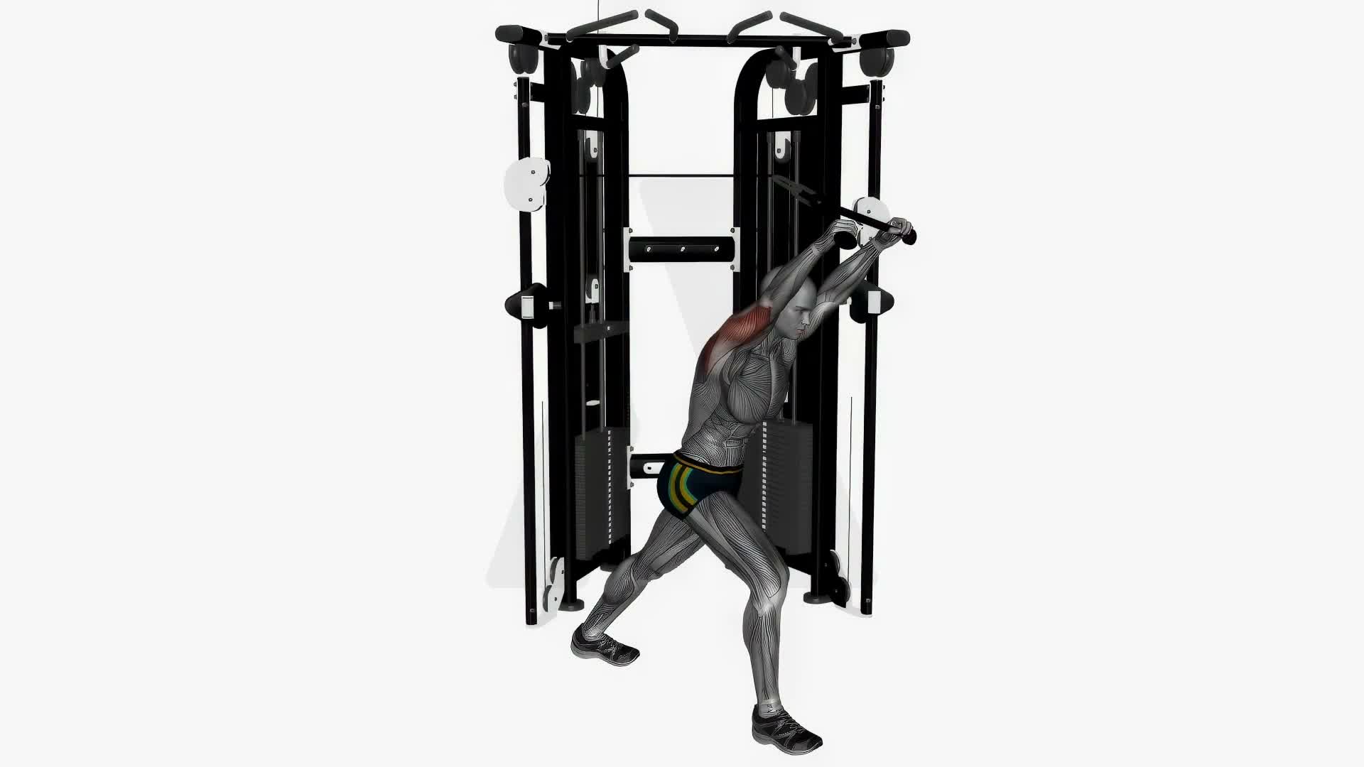 Cable Overhead Tricep Extension exercise demonstration