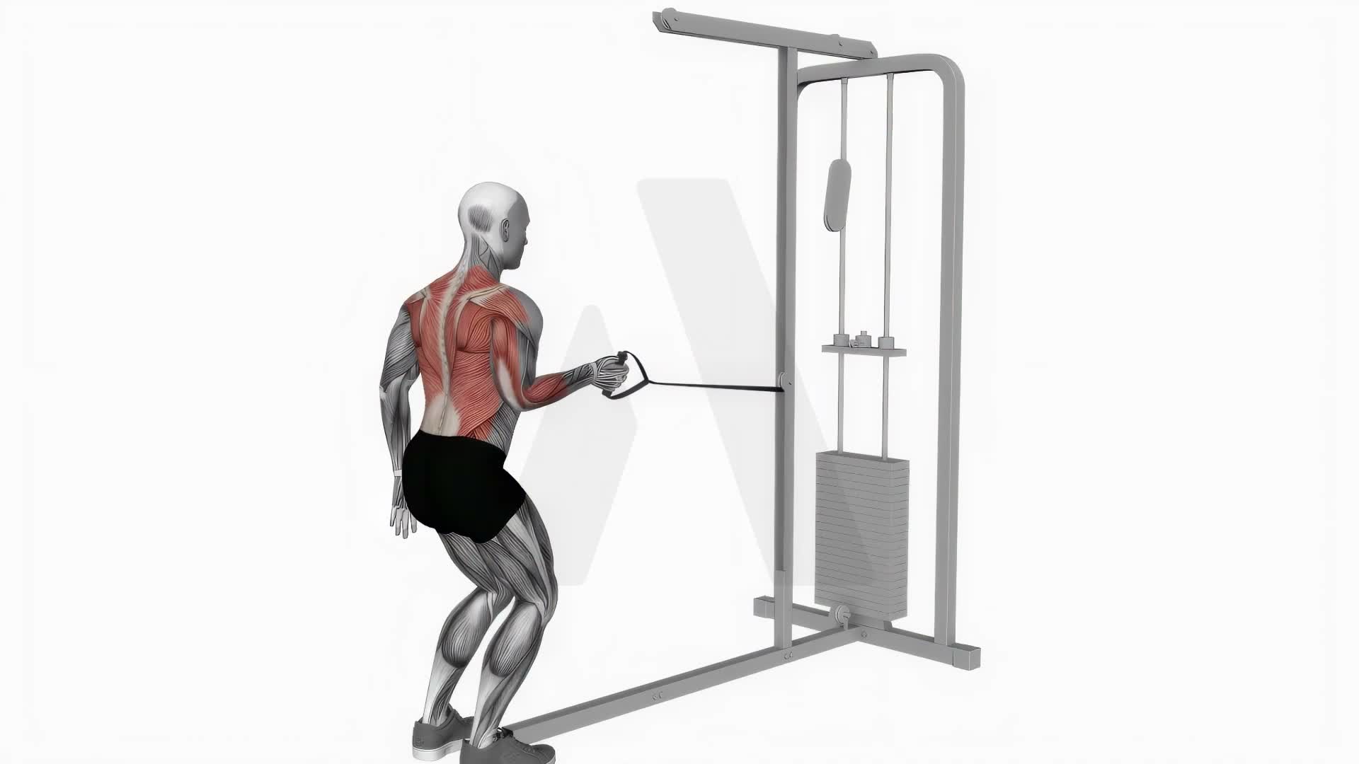 Cable Palm Rotational Row exercise demonstration