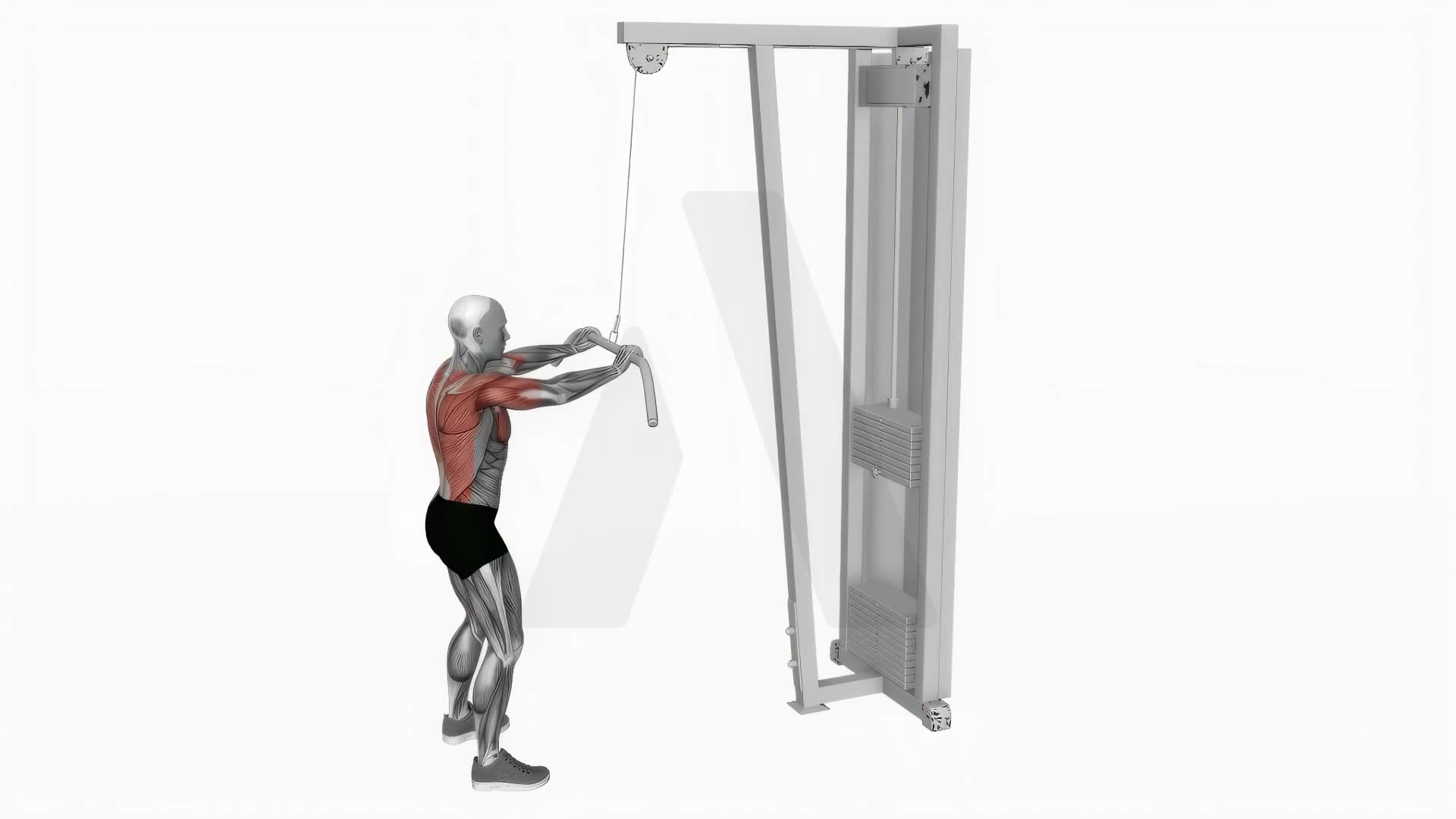 Cable Pushdown (Straight Arm) exercise demonstration