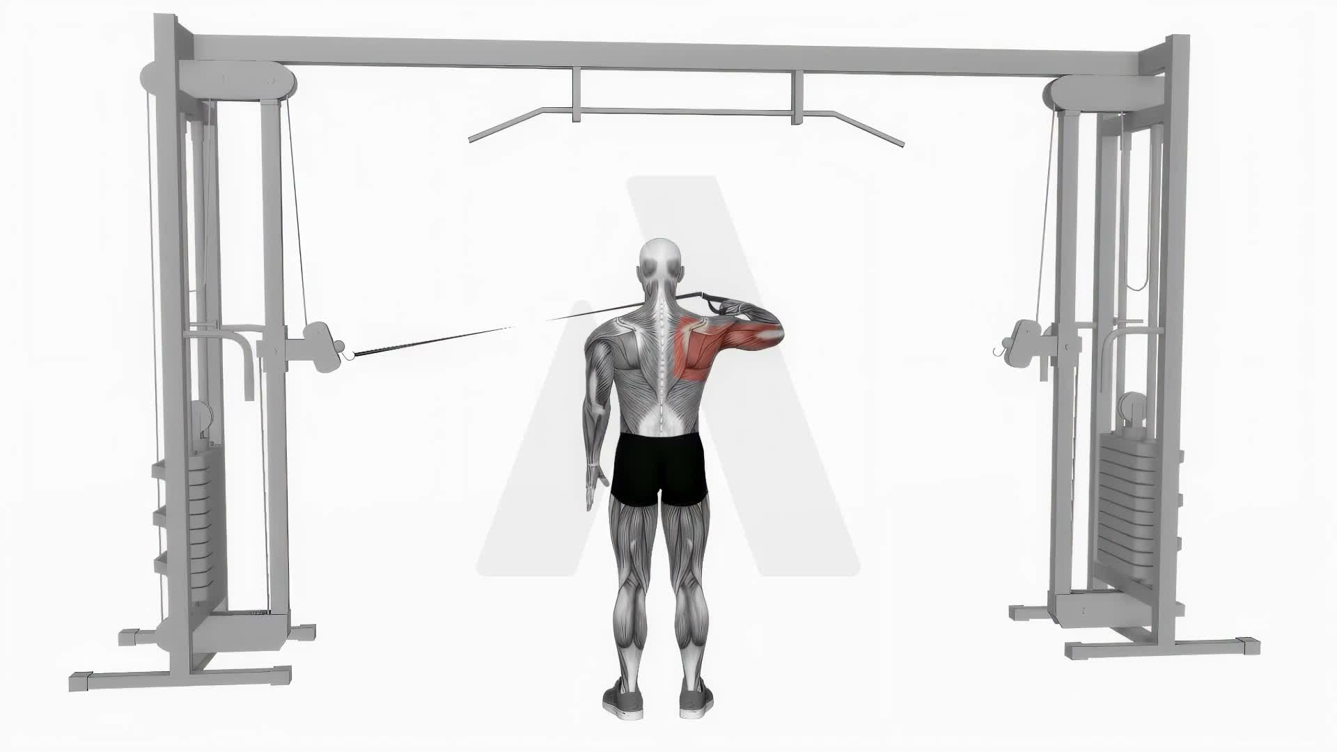 Cable Rear Drive Bent Arm exercise demonstration