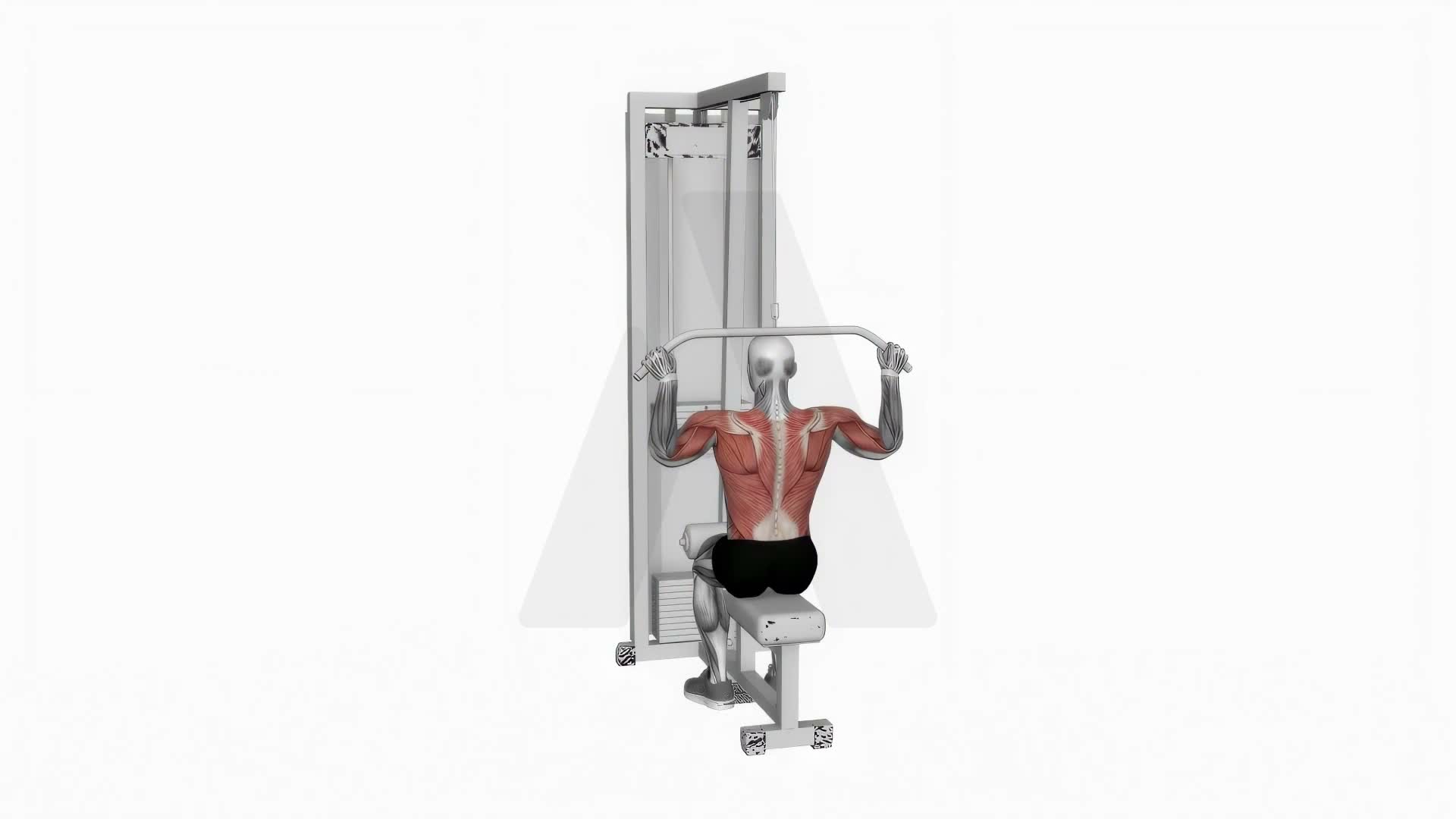 Cable Rear Pulldown exercise demonstration