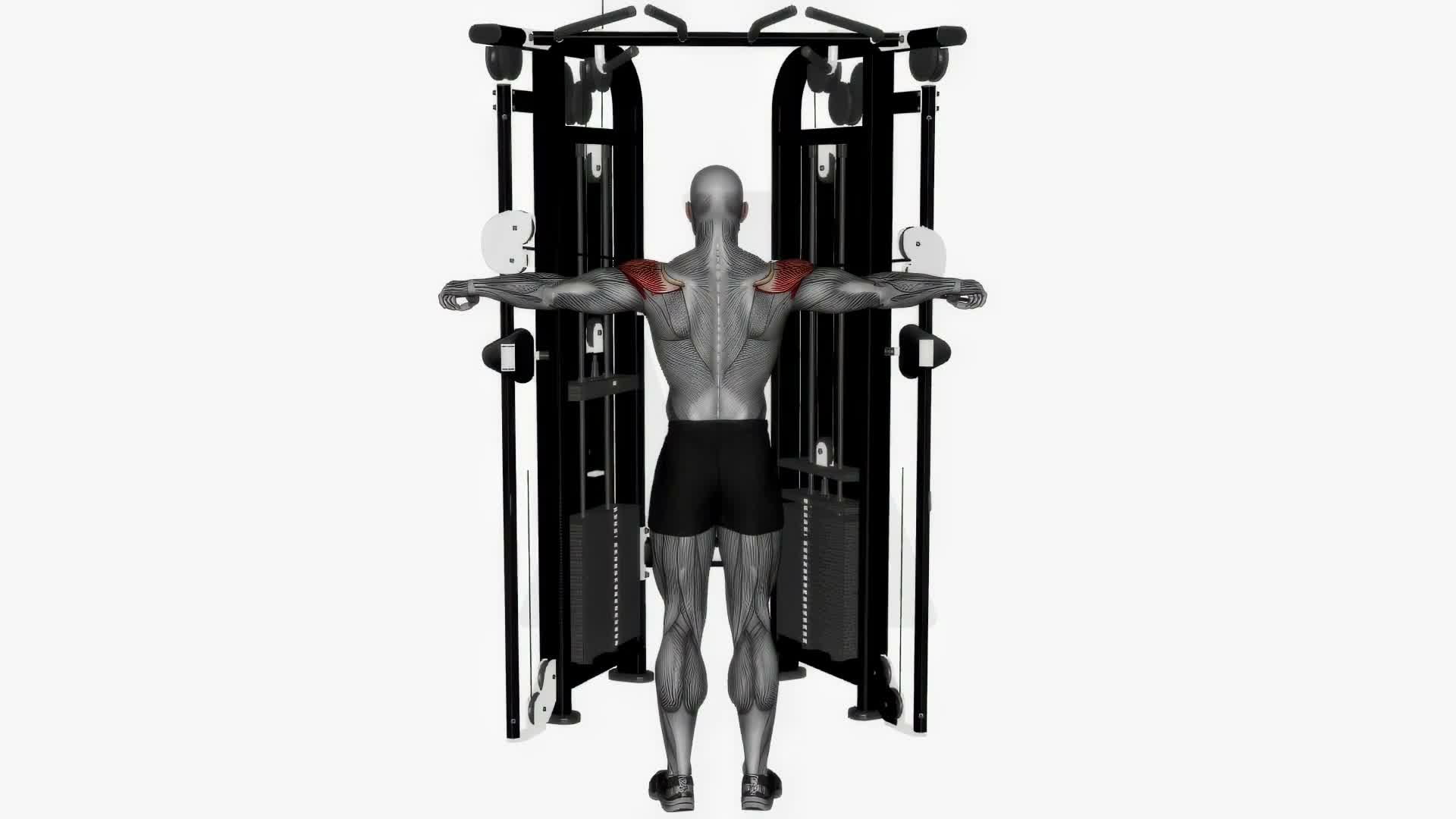 Cable Reverse Fly On Crossover exercise demonstration