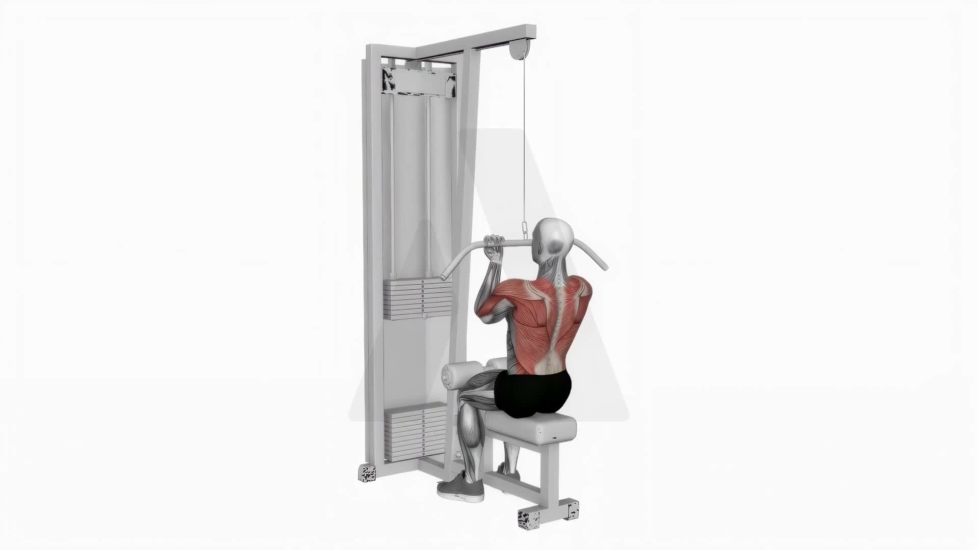Cable Reverse Grip Straight Back Seated High Row exercise demonstration