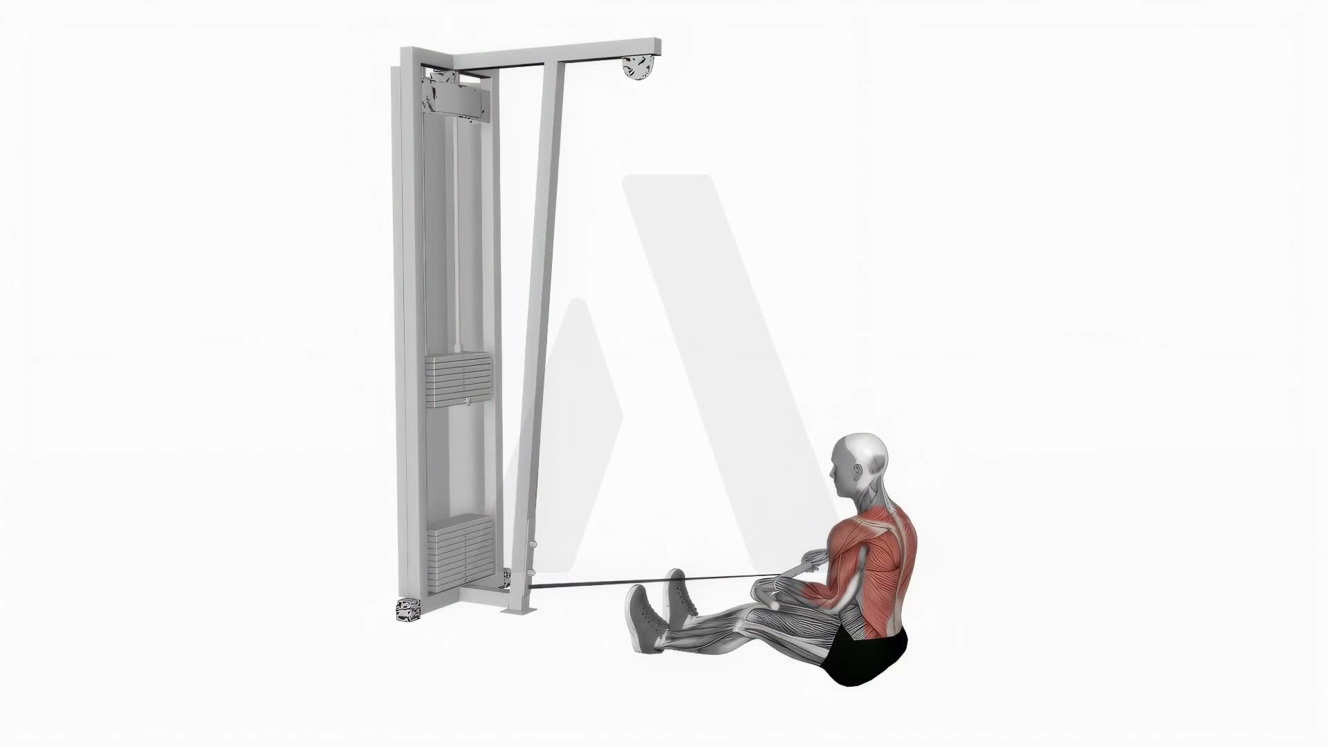 Cable Seated On Floor Row exercise demonstration