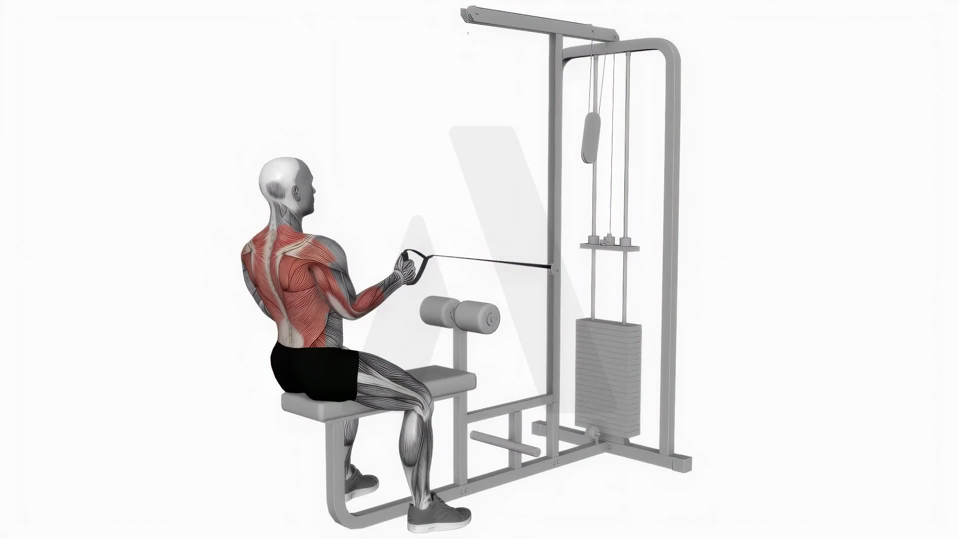 Cable Seated One Arm Alternate Row exercise demonstration