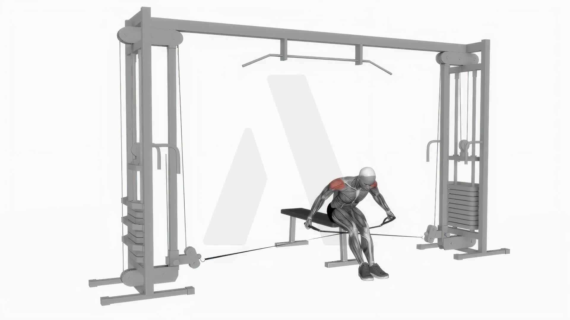 Cable Seated Rear Lateral Raise exercise demonstration