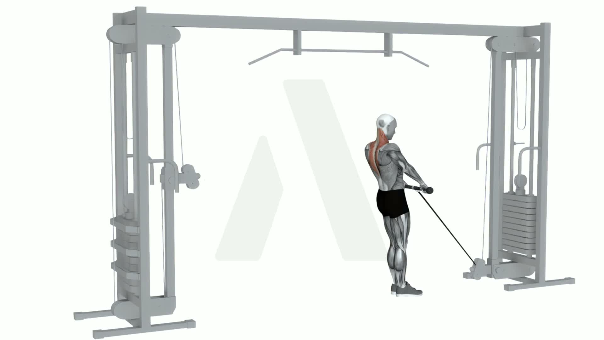 Cable Silverback Shrug exercise demonstration