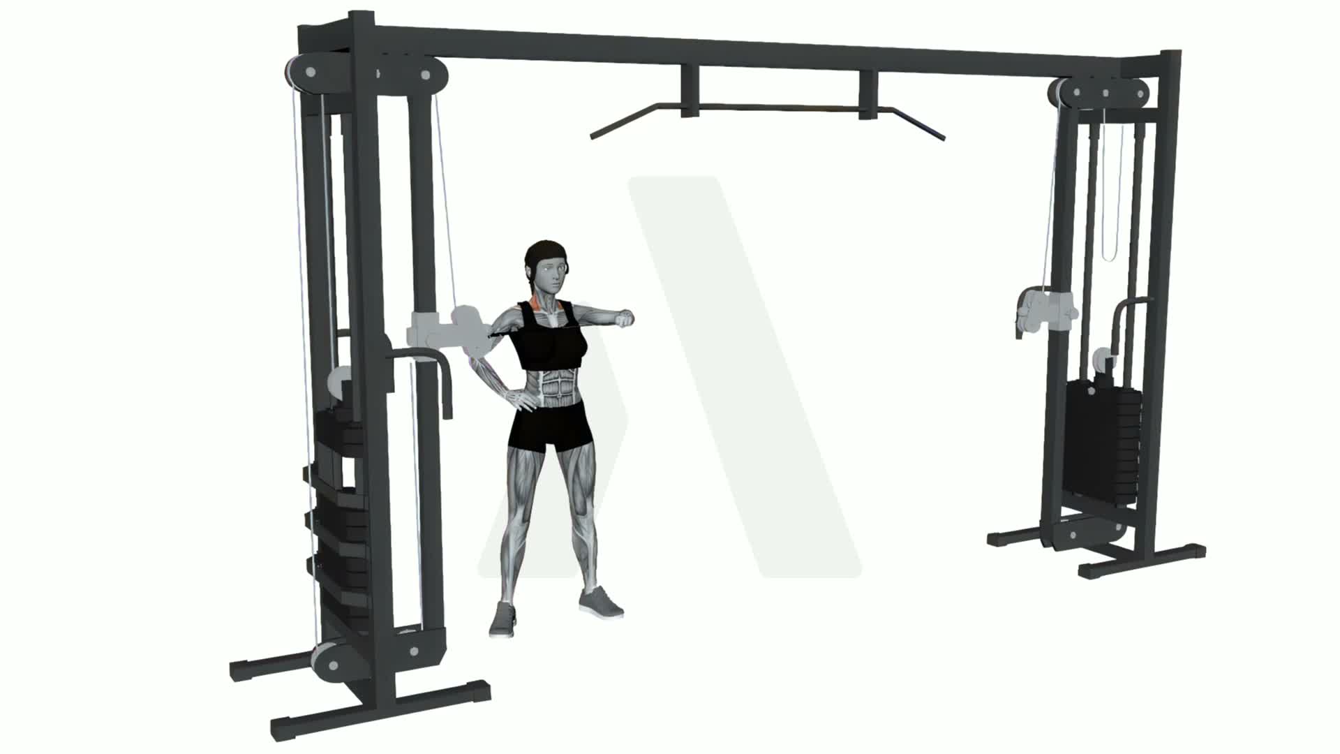 Cable Single Arm Reverse Fly exercise demonstration
