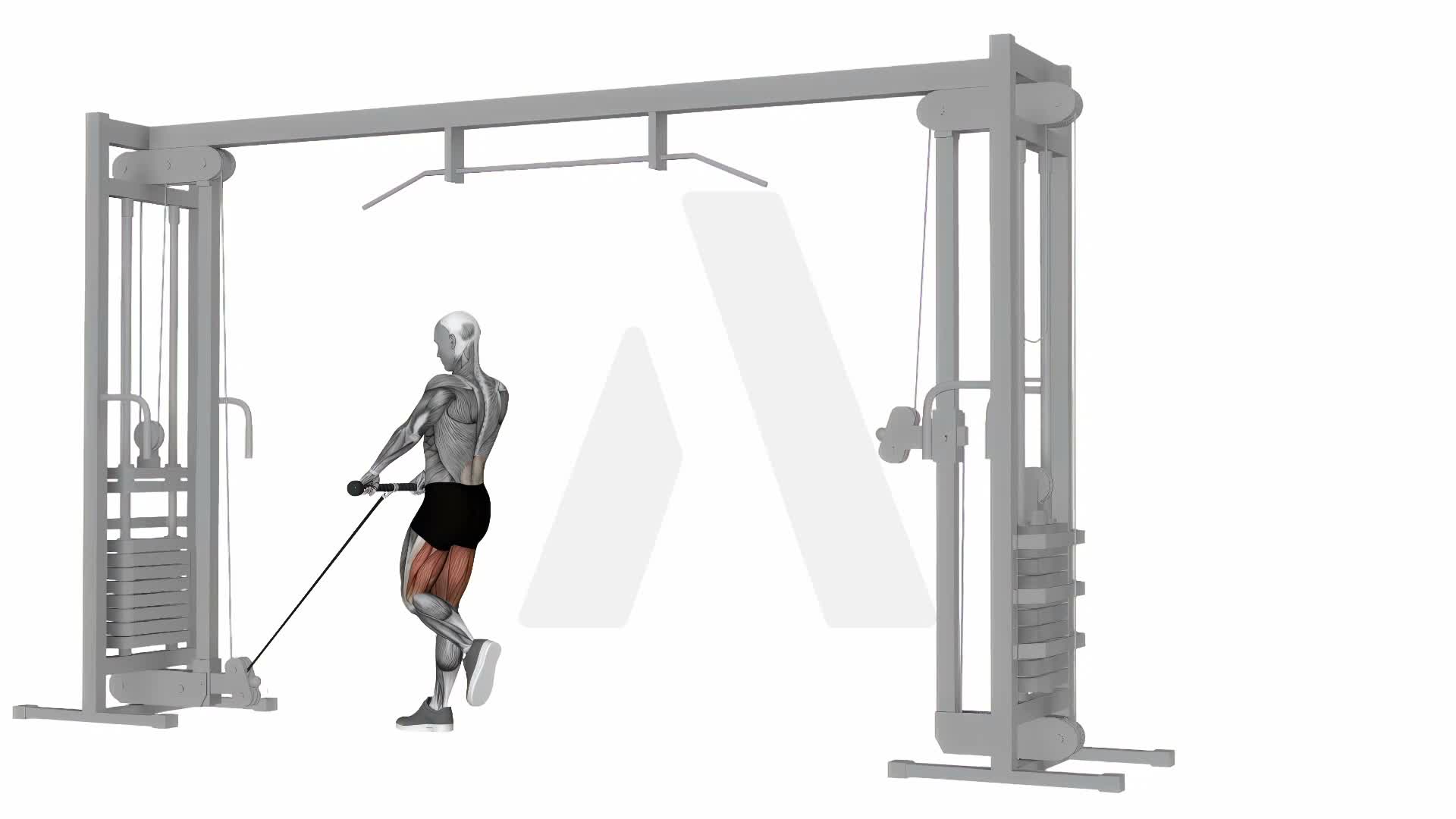 Cable Single Leg Deadlift exercise demonstration