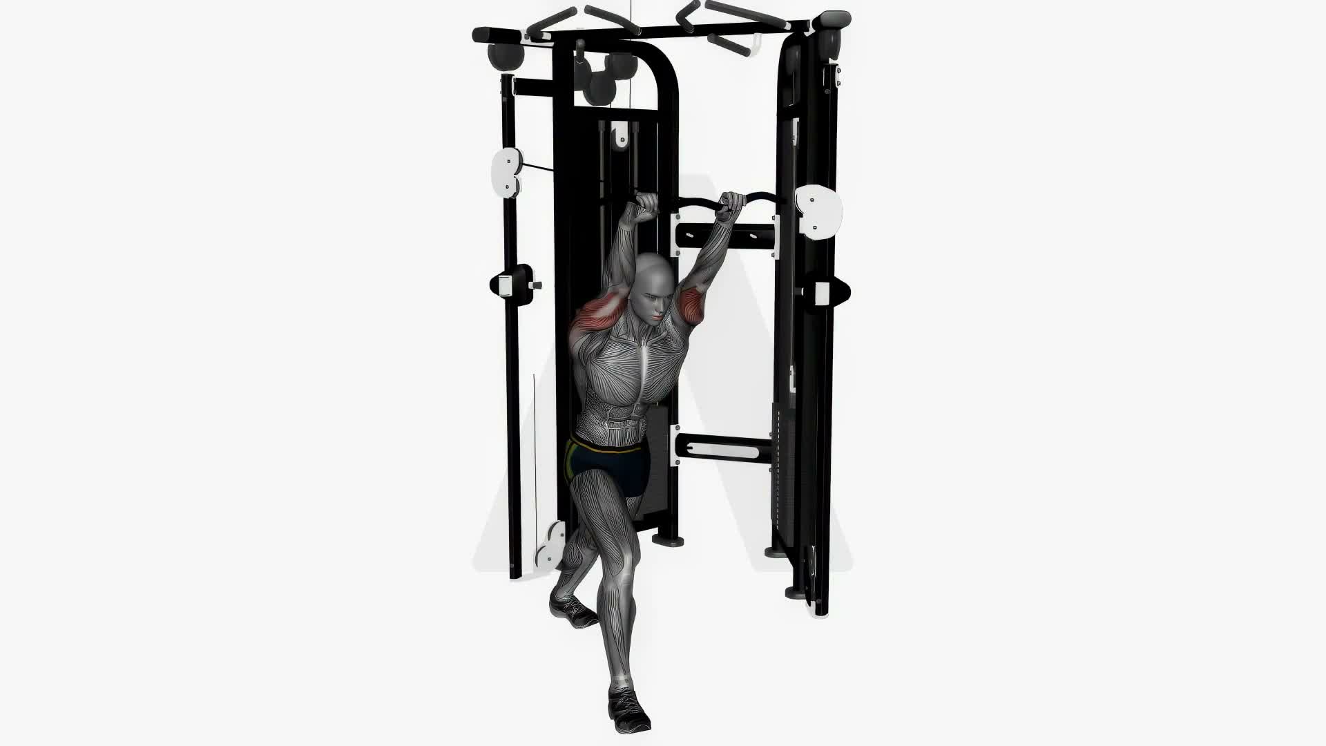 Cable Triceps Overhead Extension (Ez Bar) exercise demonstration