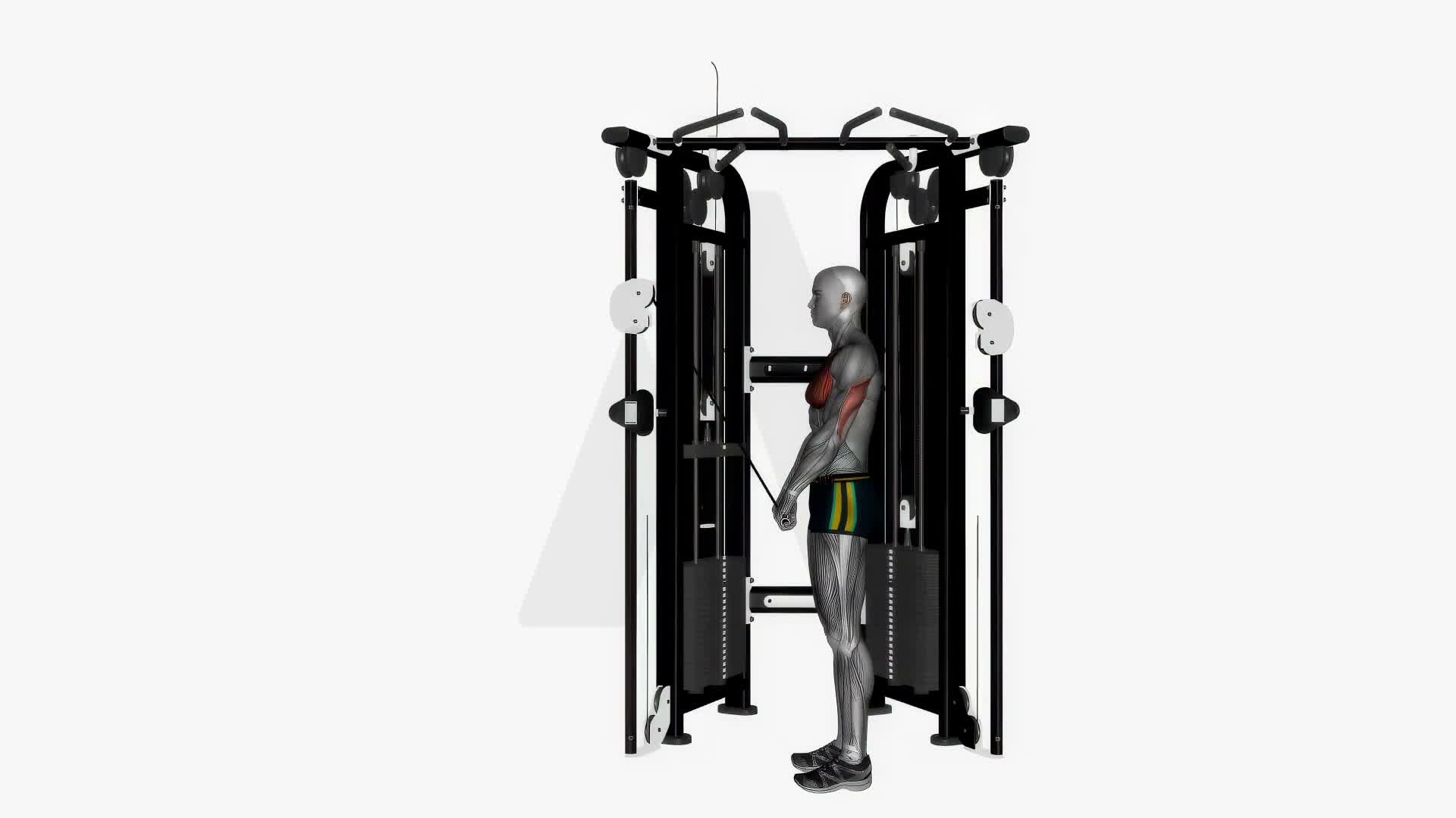 Cable Triceps Push Down Ez Bar Wide Grip exercise demonstration