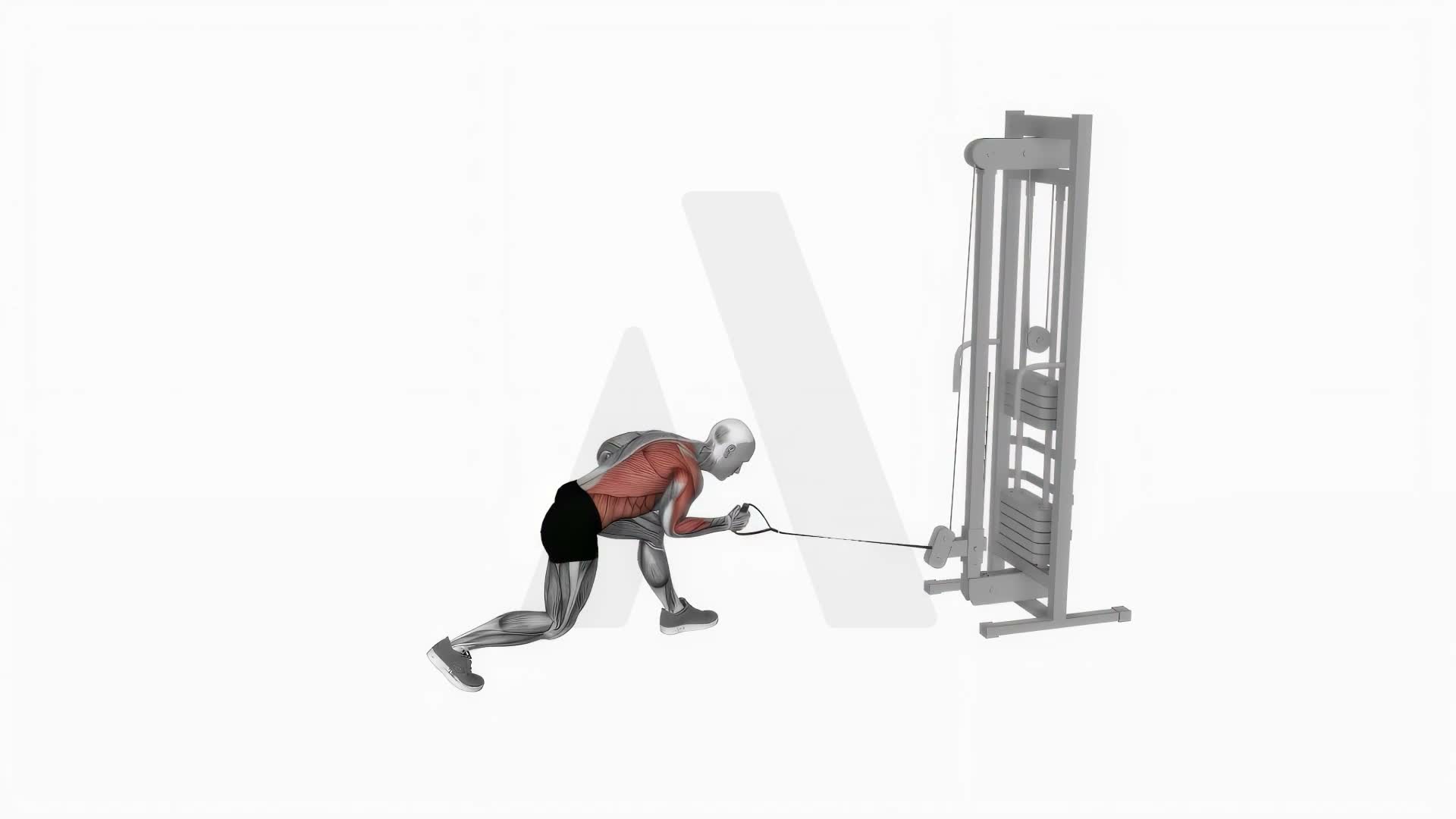 Cable Twisting Pull exercise demonstration