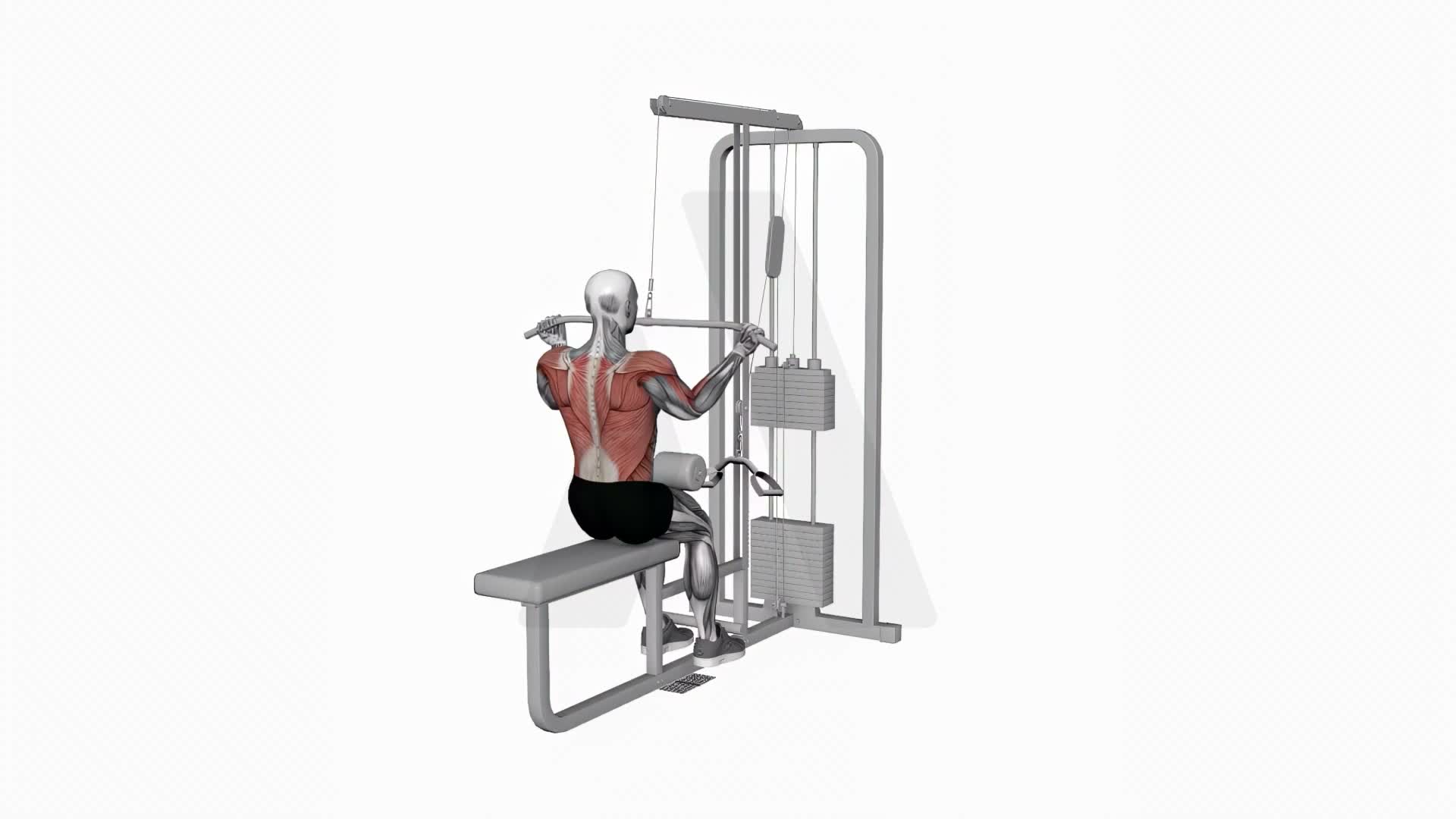 Cable Underhand Pulldown Wide Grips exercise demonstration