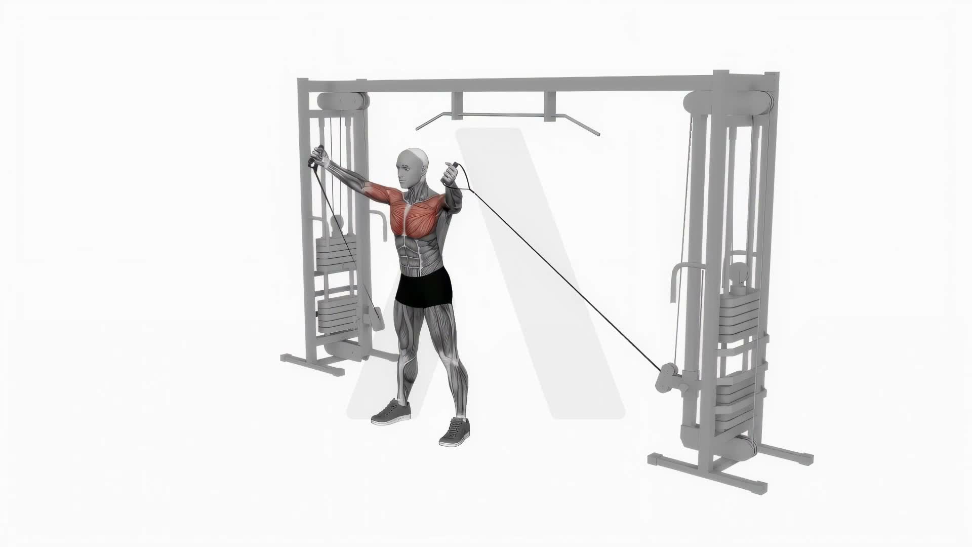 Cable Upper Chest Crossover exercise demonstration