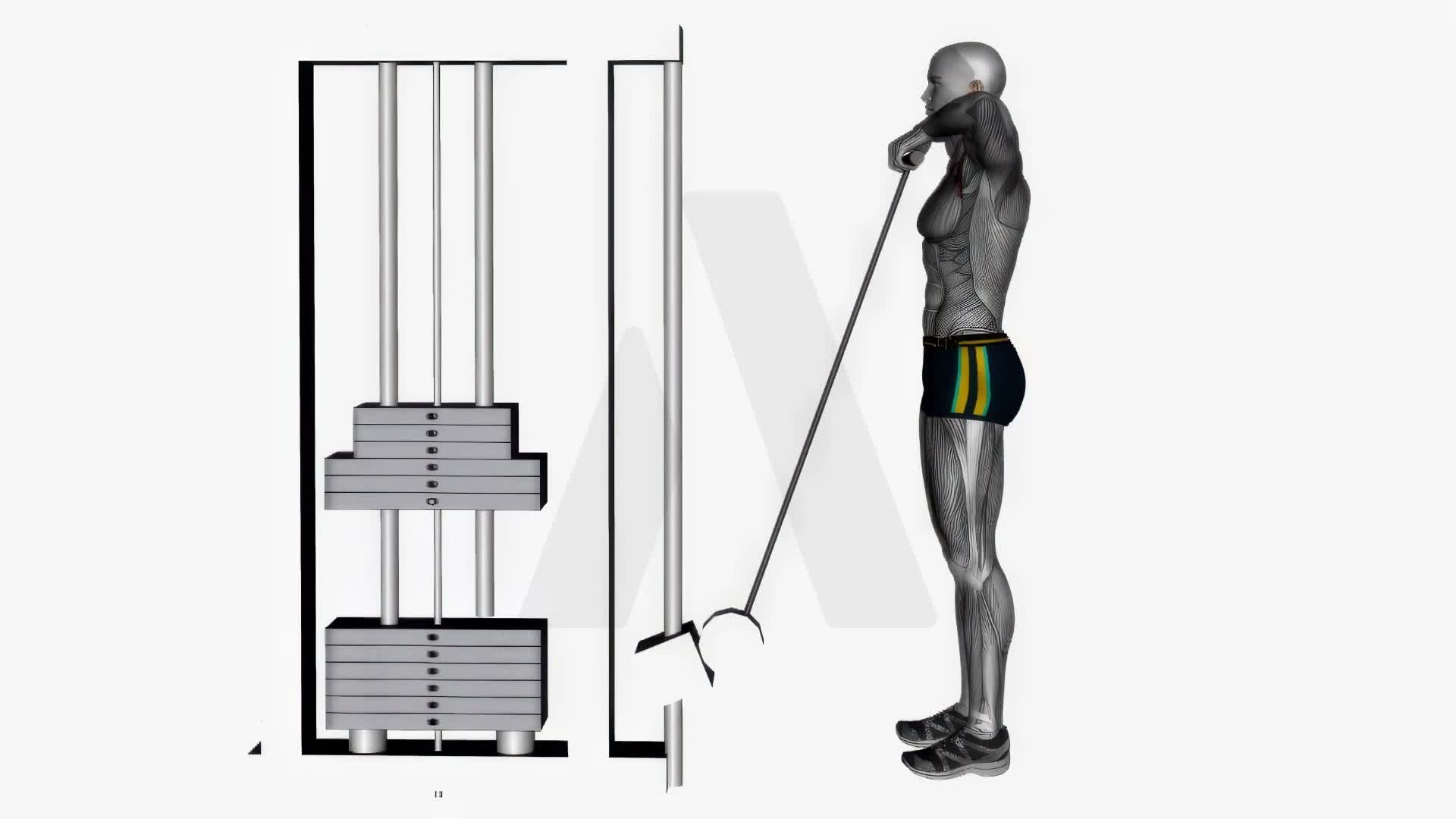 Cable Upright Row With Straight Bar exercise demonstration