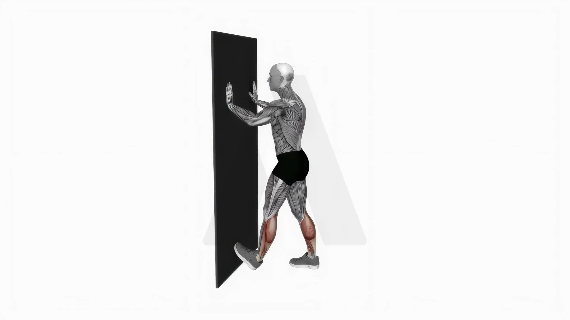 Calf Push Stretch With Hands Against Wall V.2 exercise demonstration