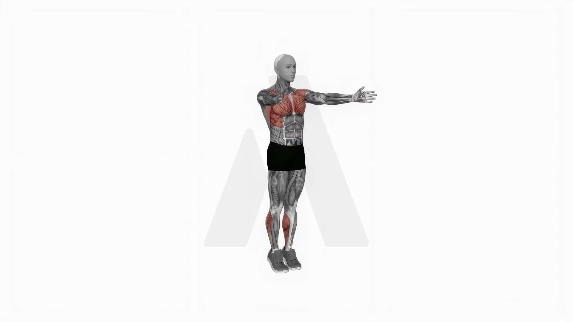 Calf Raise Clap exercise demonstration