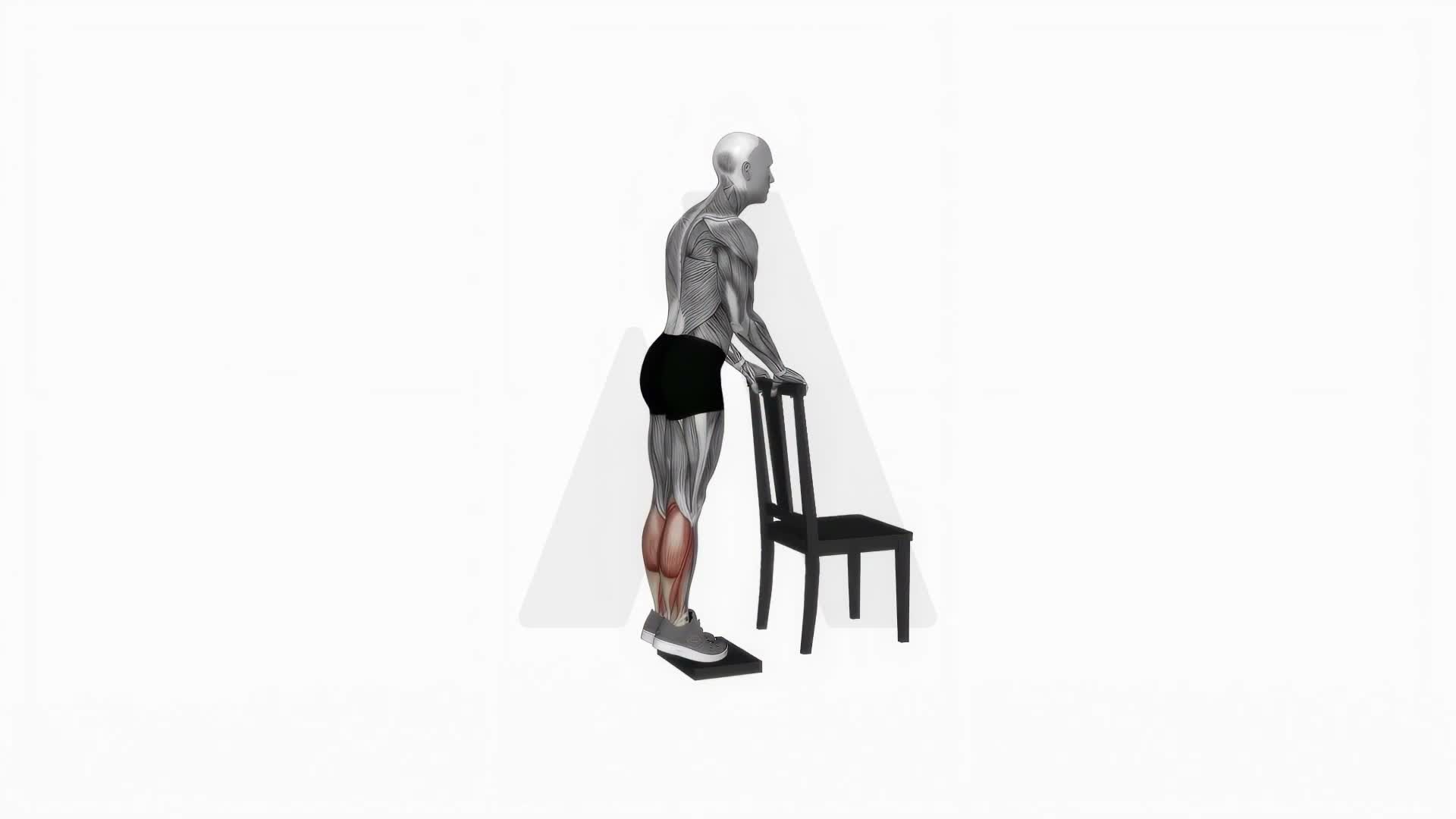 Calf Raise From Deficit With Chair Supported exercise demonstration