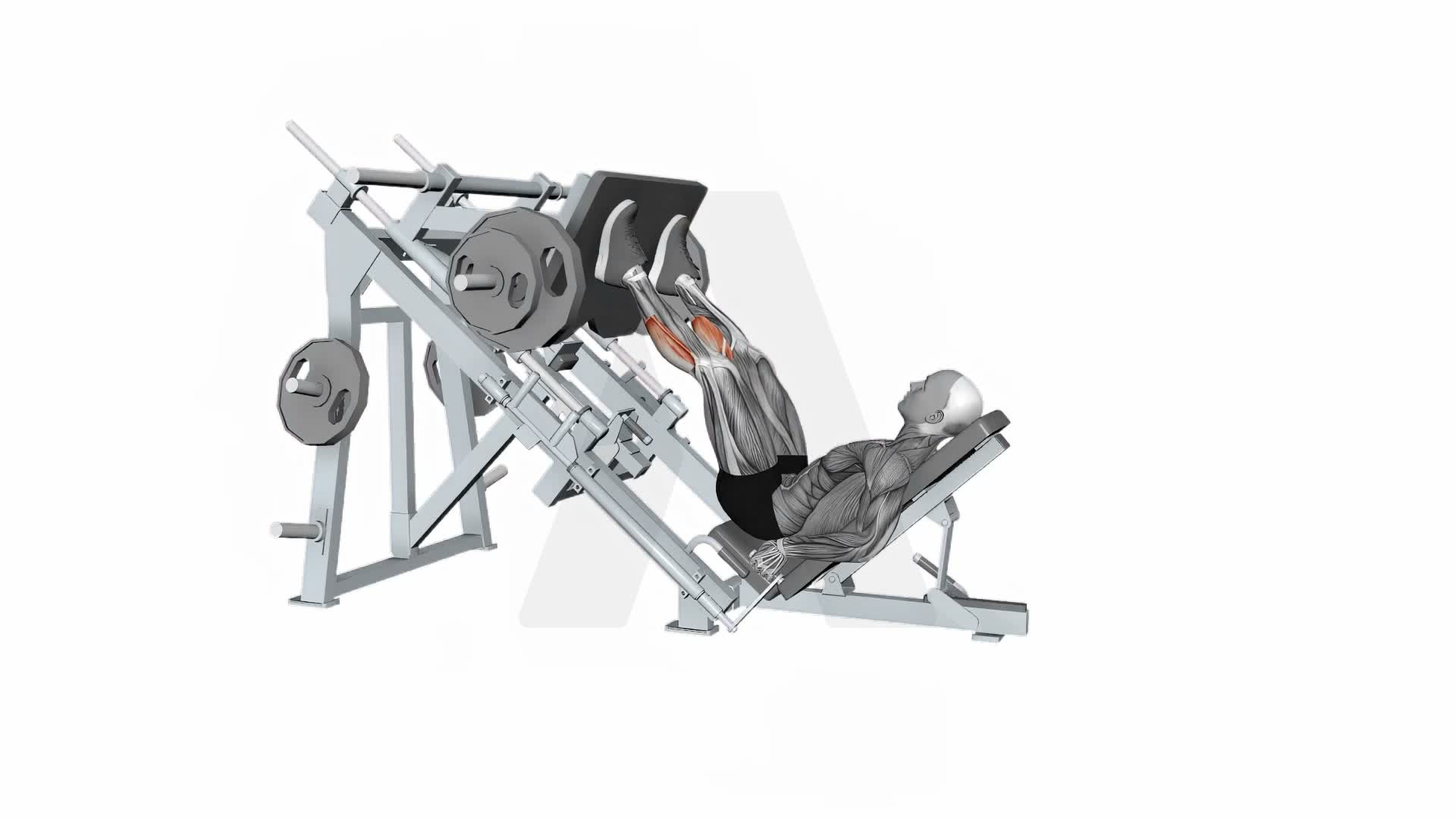 Calf Raise Leg Press Machine exercise demonstration