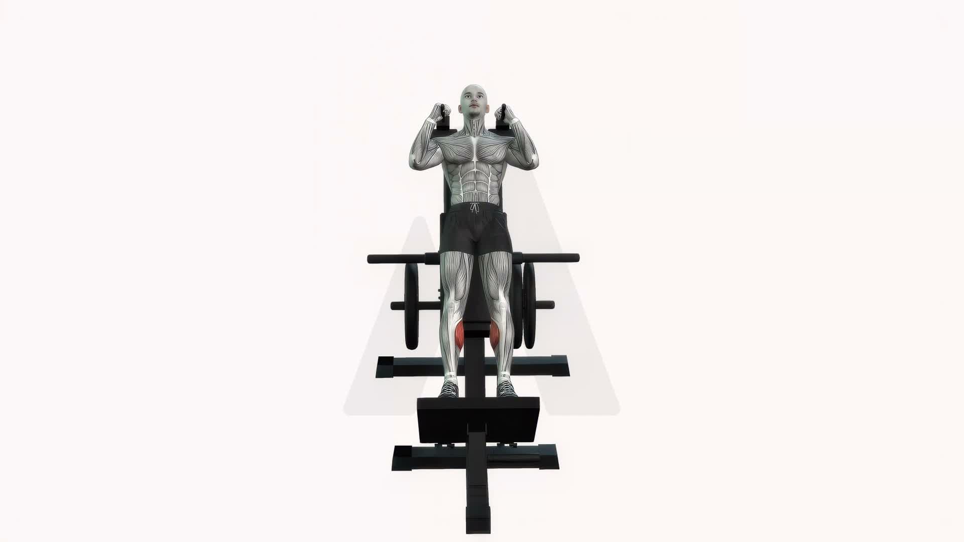 Calf Raise On Hack Squat Machine exercise demonstration