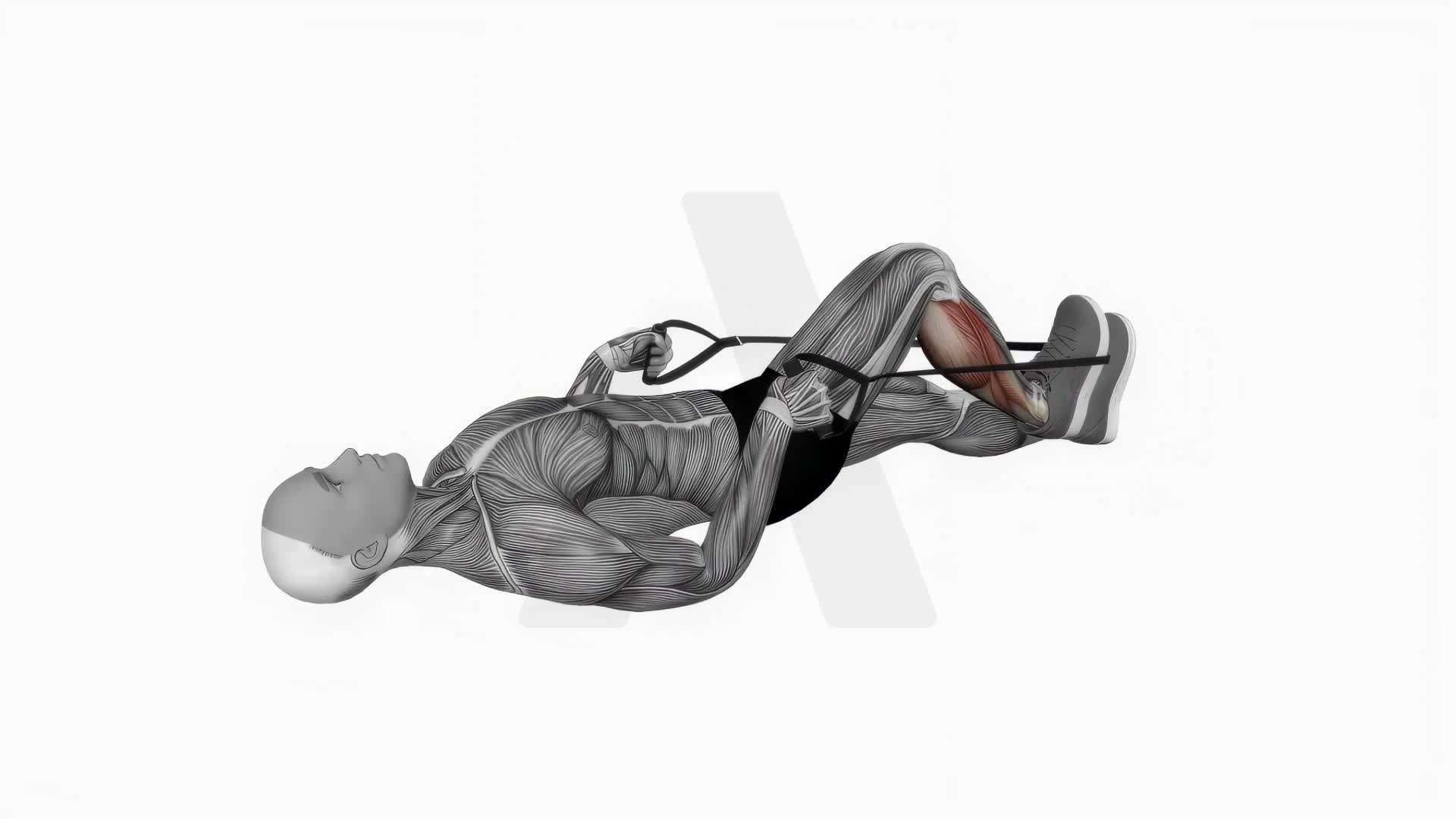 Calf Stretch With Rope exercise demonstration