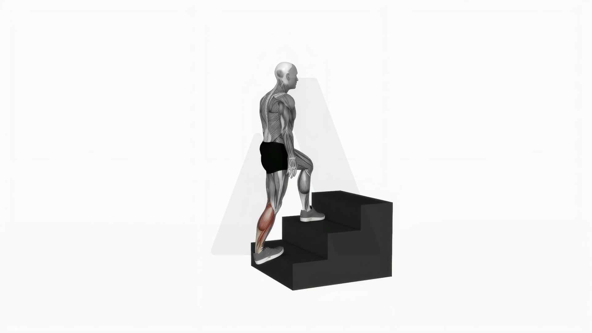 Calves Stretch On Stairs exercise demonstration