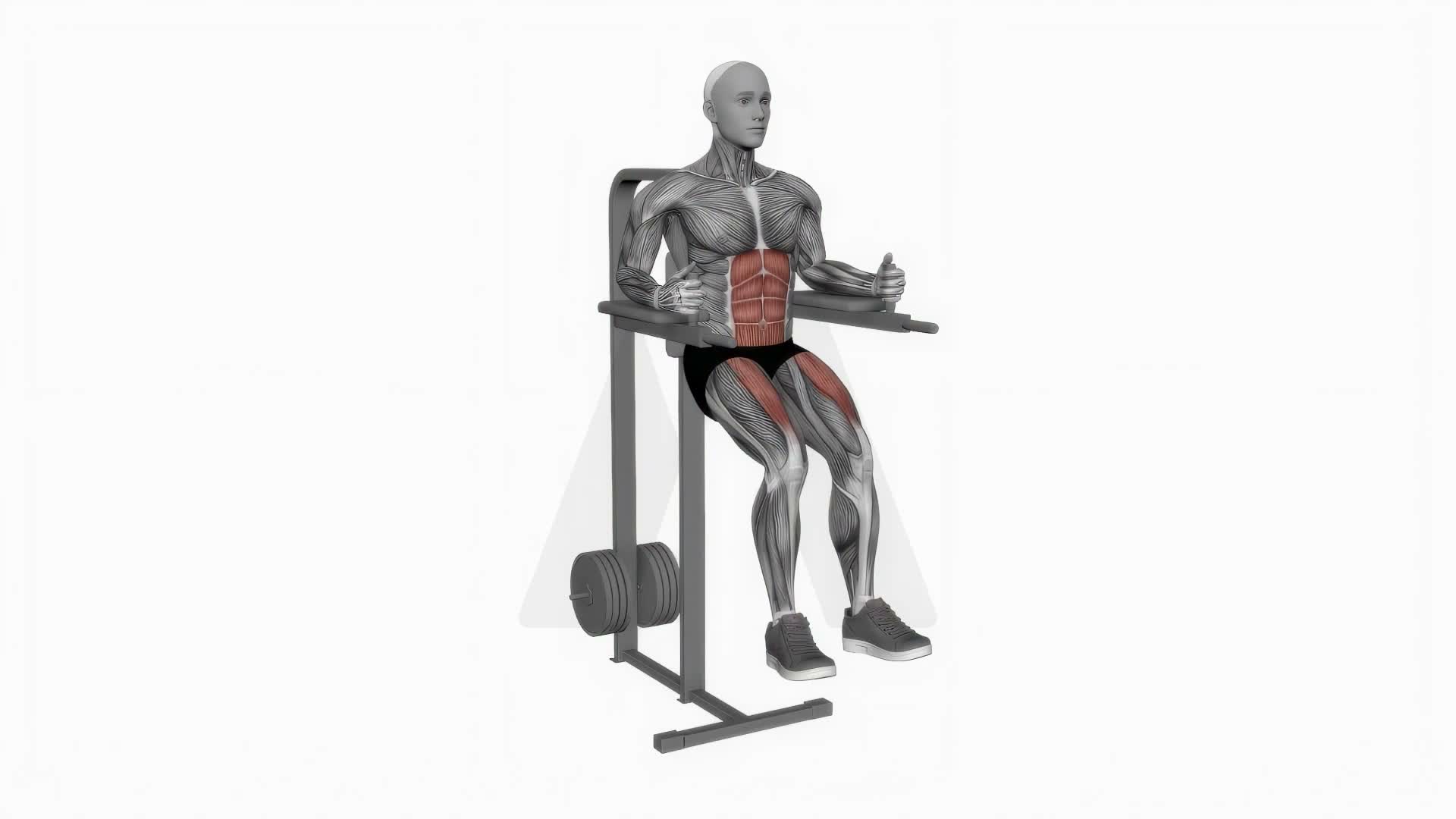 Captains Chair Leg Raise exercise demonstration