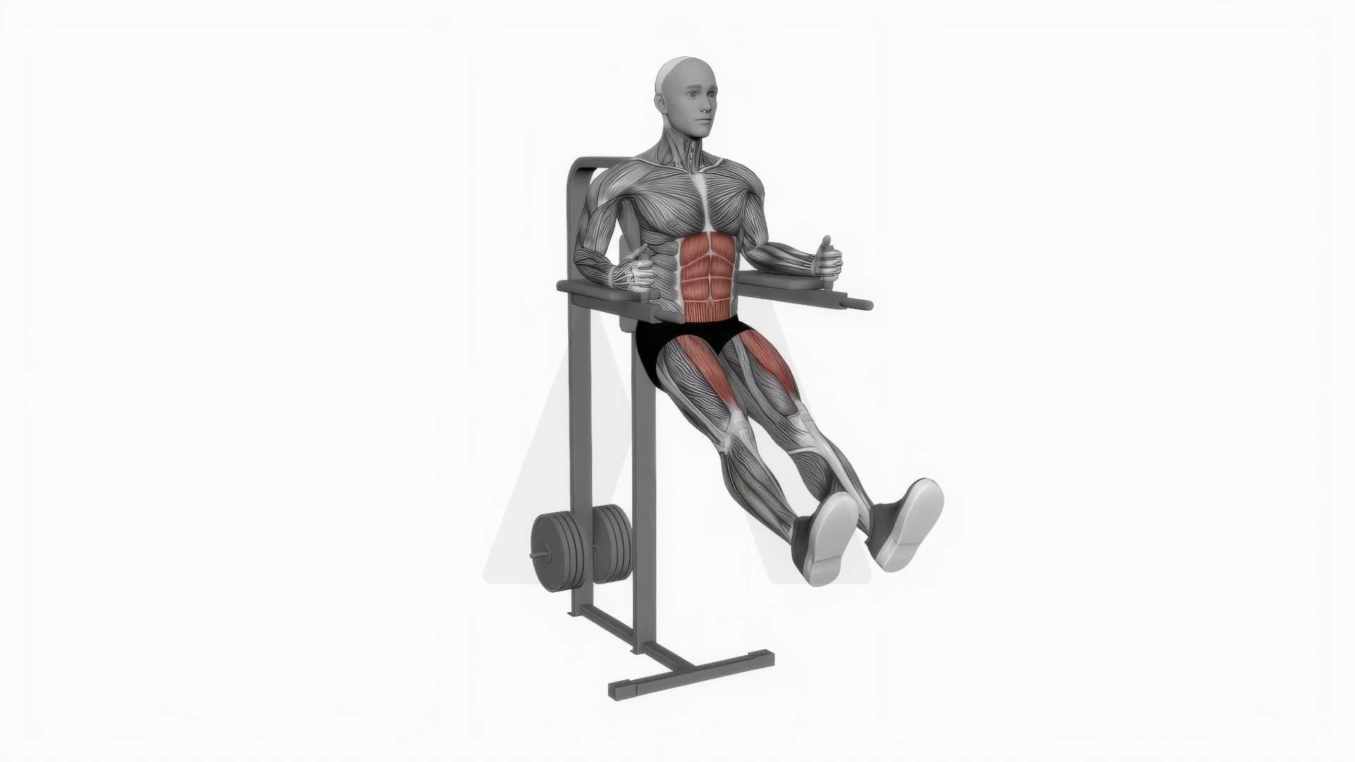 Captains Chair Straight Leg Raise exercise demonstration