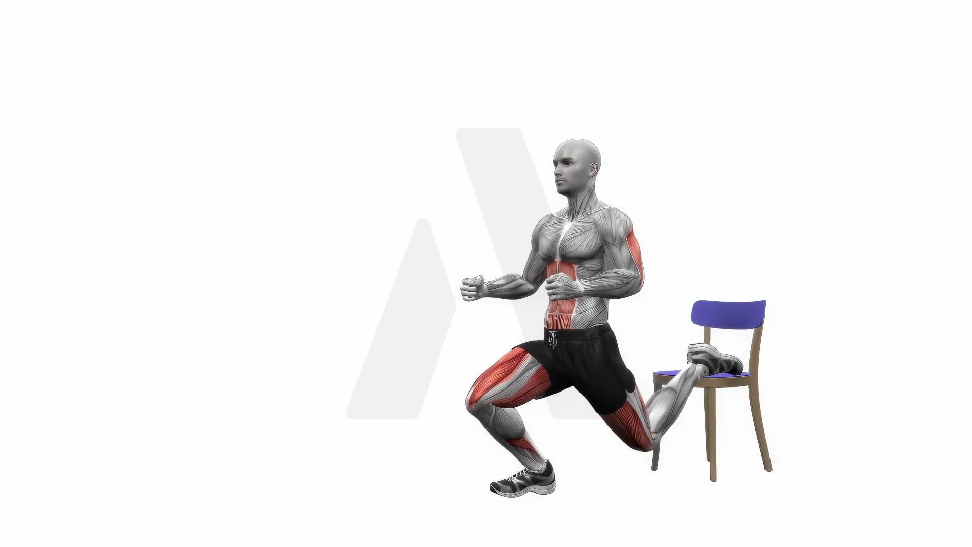 Chair Bulgarian Split Squats Bodyweight Left exercise demonstration
