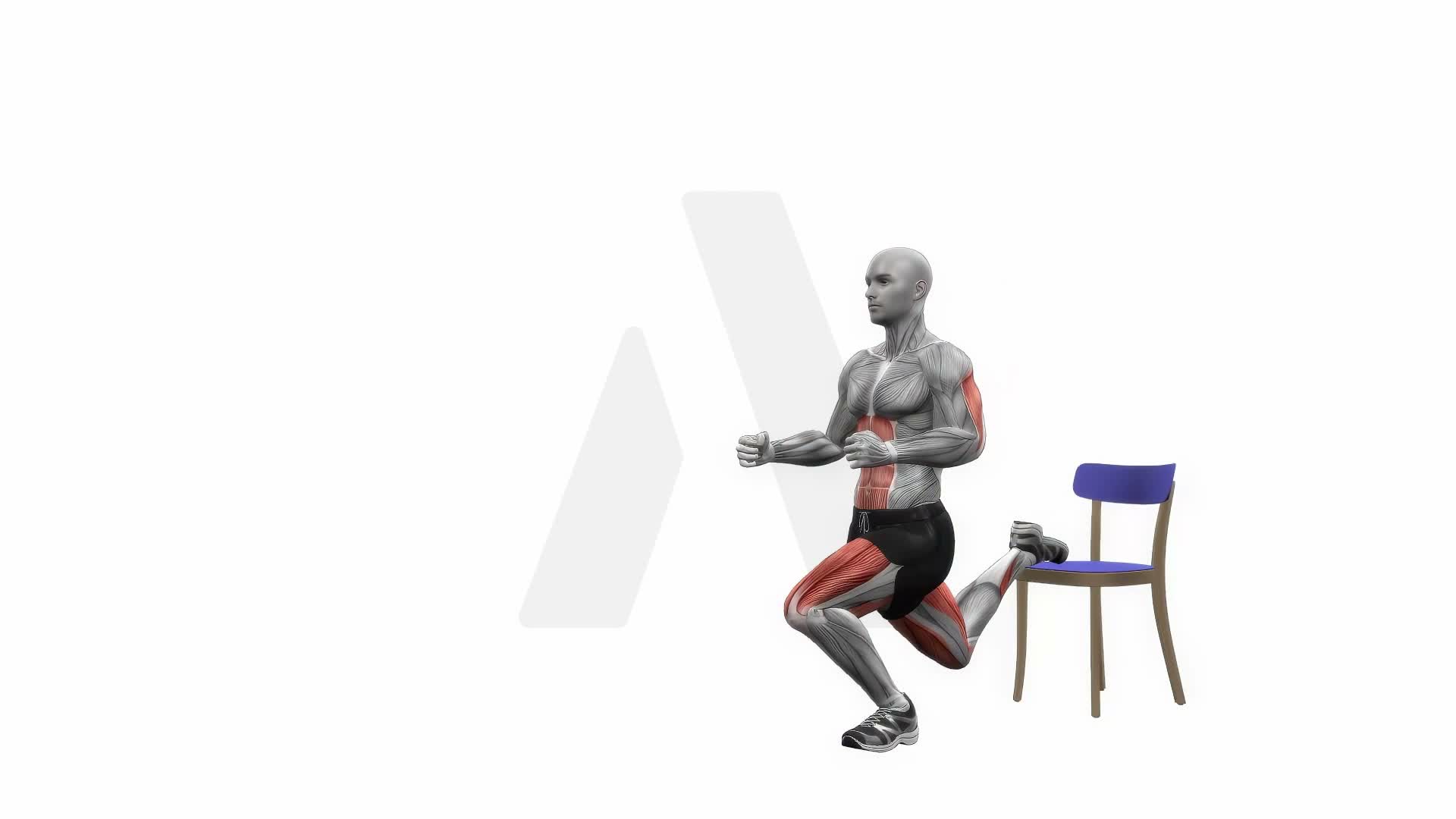 Chair Bulgarian Split Squats Bodyweight Right exercise demonstration
