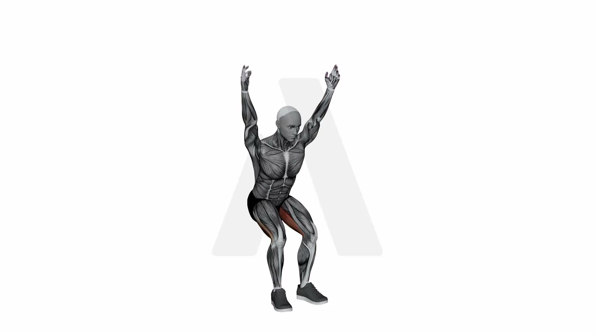 Chair Pose exercise demonstration