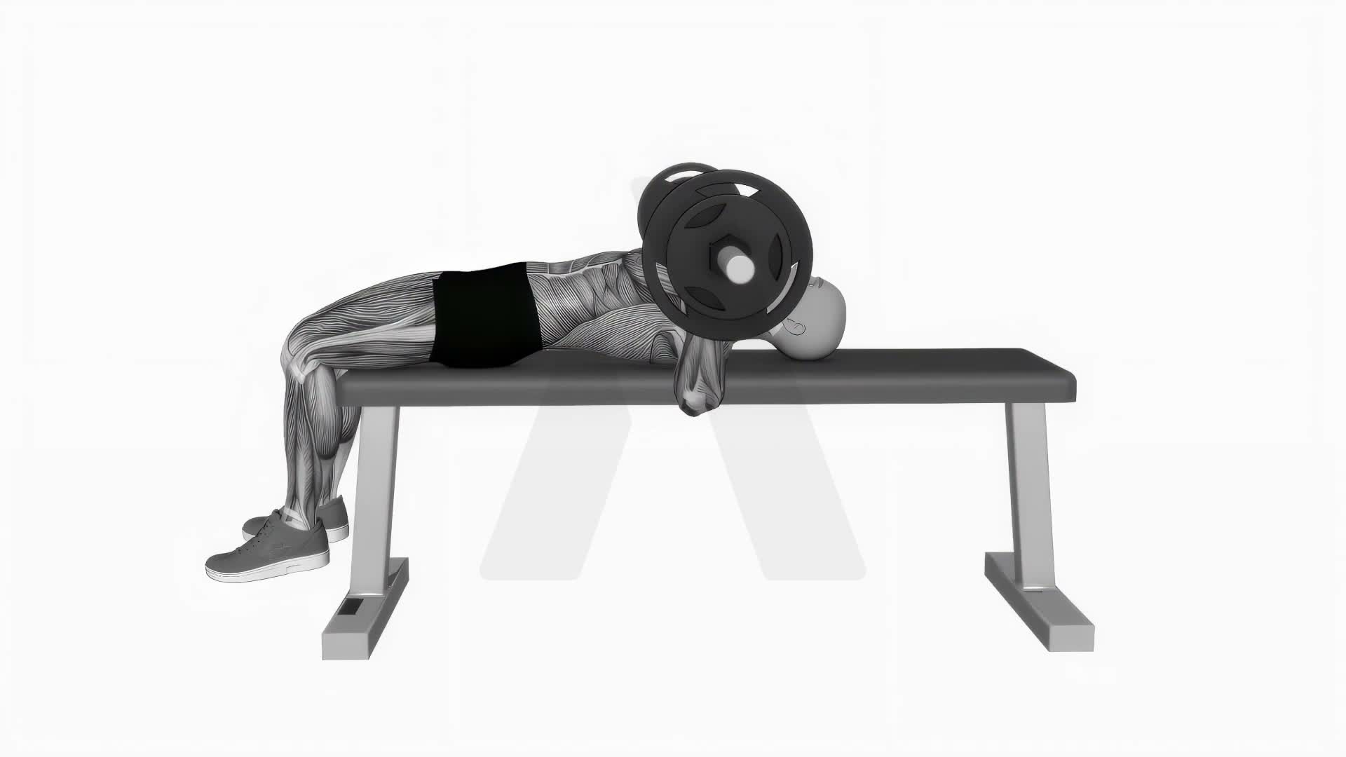 Chest Bench Press Correct Stance exercise demonstration