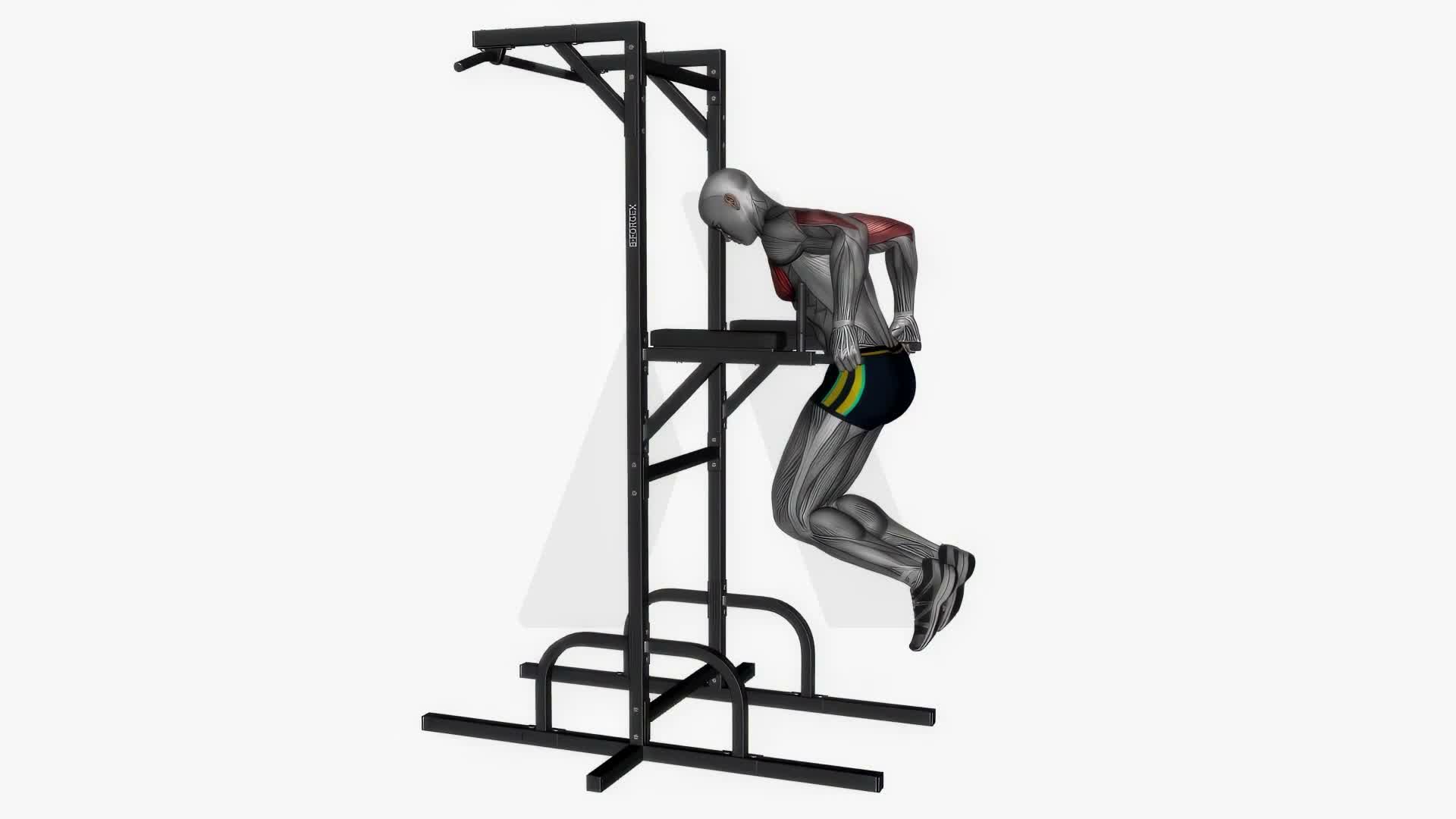 Chest Dip exercise demonstration