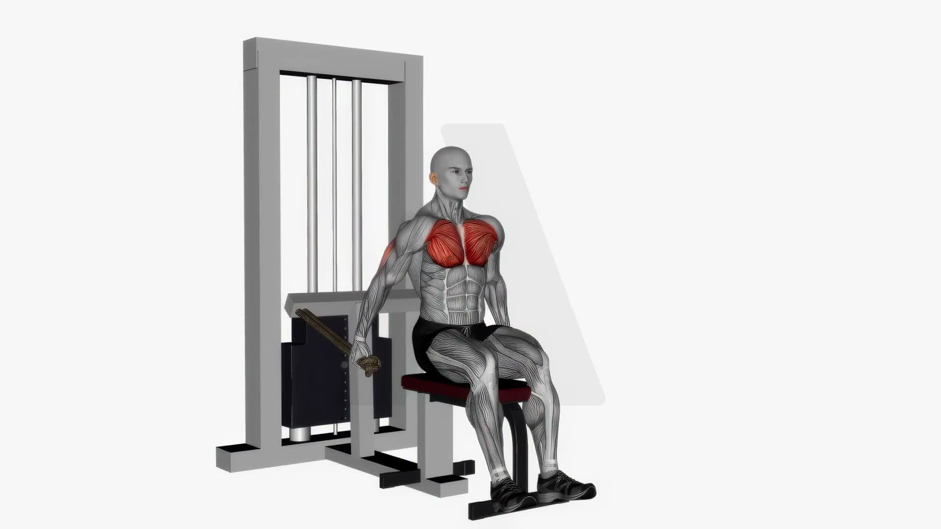 Chest Dip Machine exercise demonstration