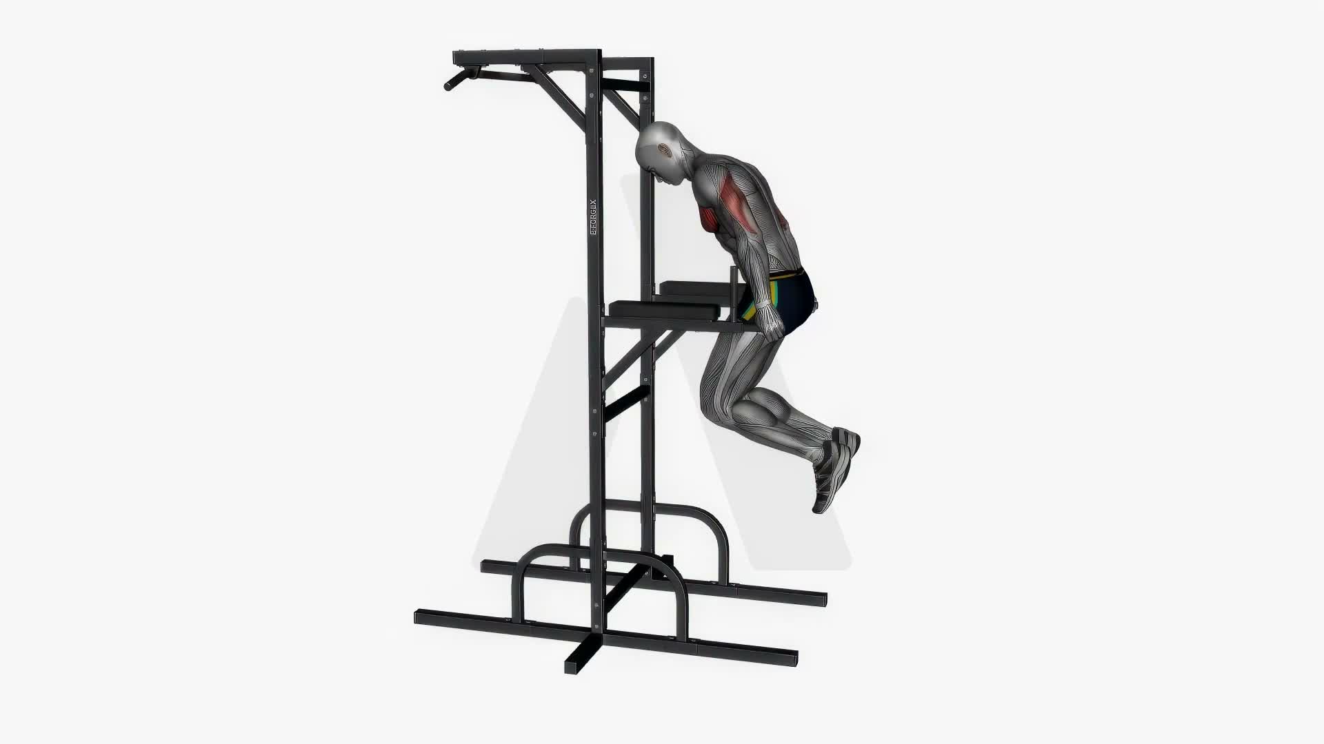 Chest Dip With Pause Bodyweight exercise demonstration