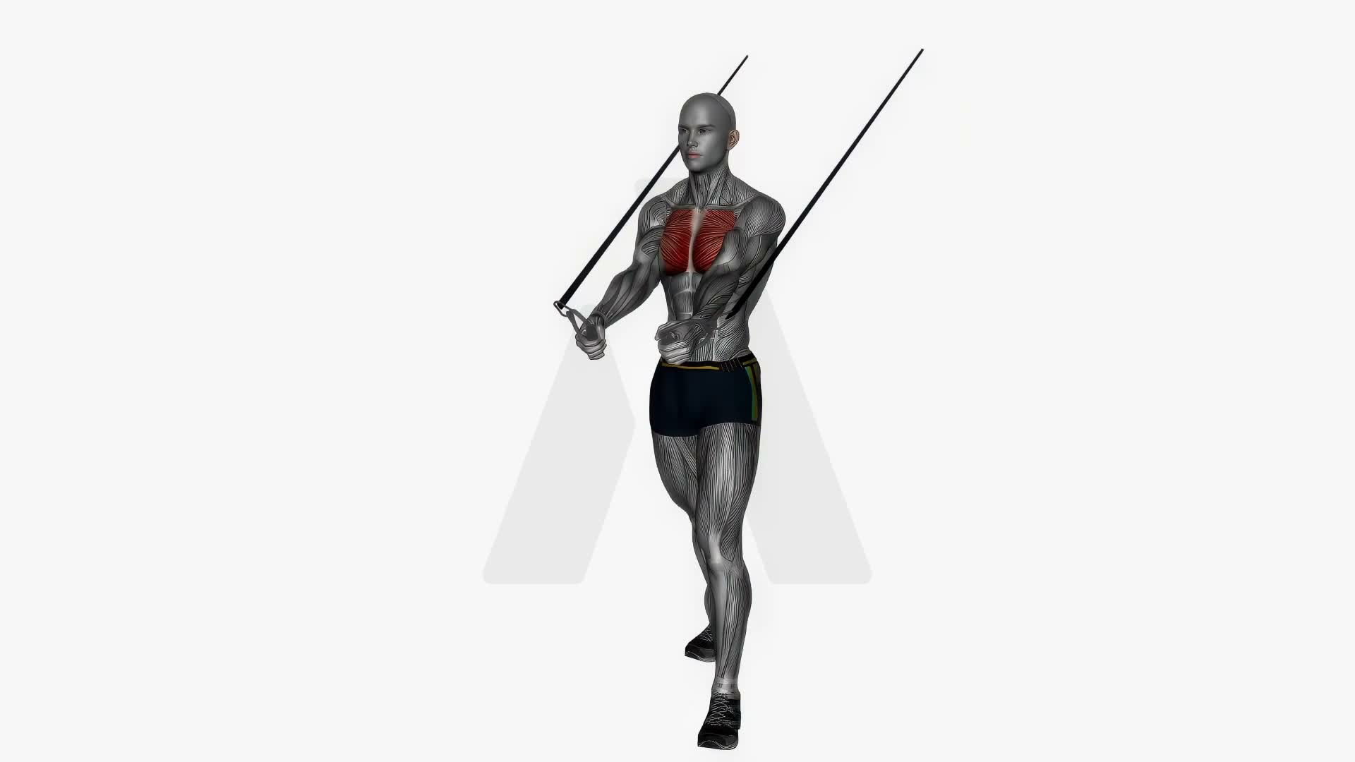 Chest Fly High To Low Resistance Band exercise demonstration