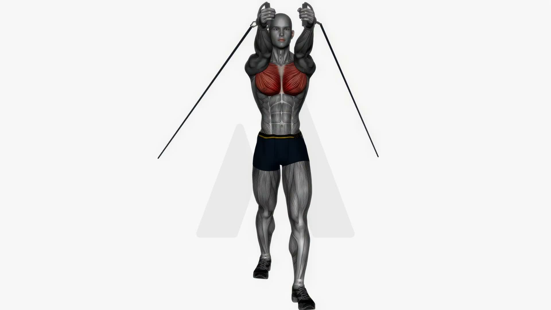Chest Fly Low To High Resistance Band exercise demonstration