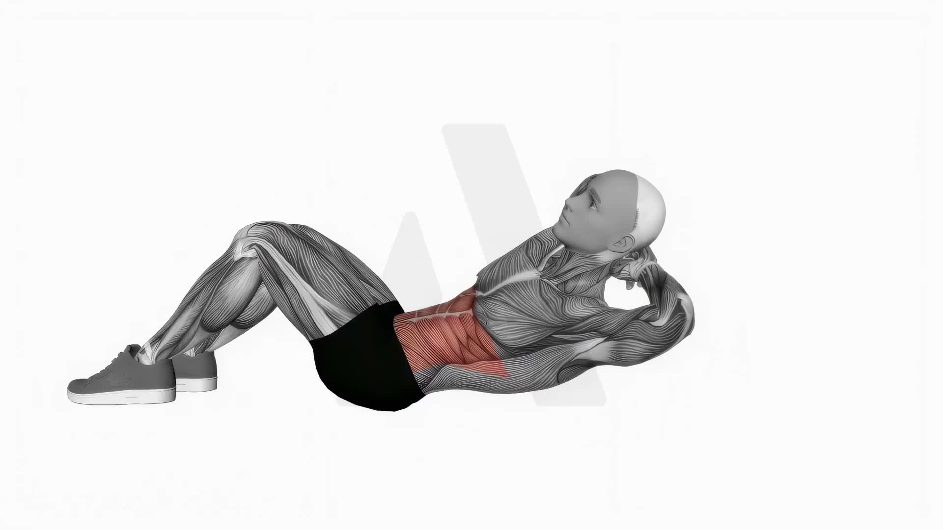 Chest Lift With Rotation exercise demonstration