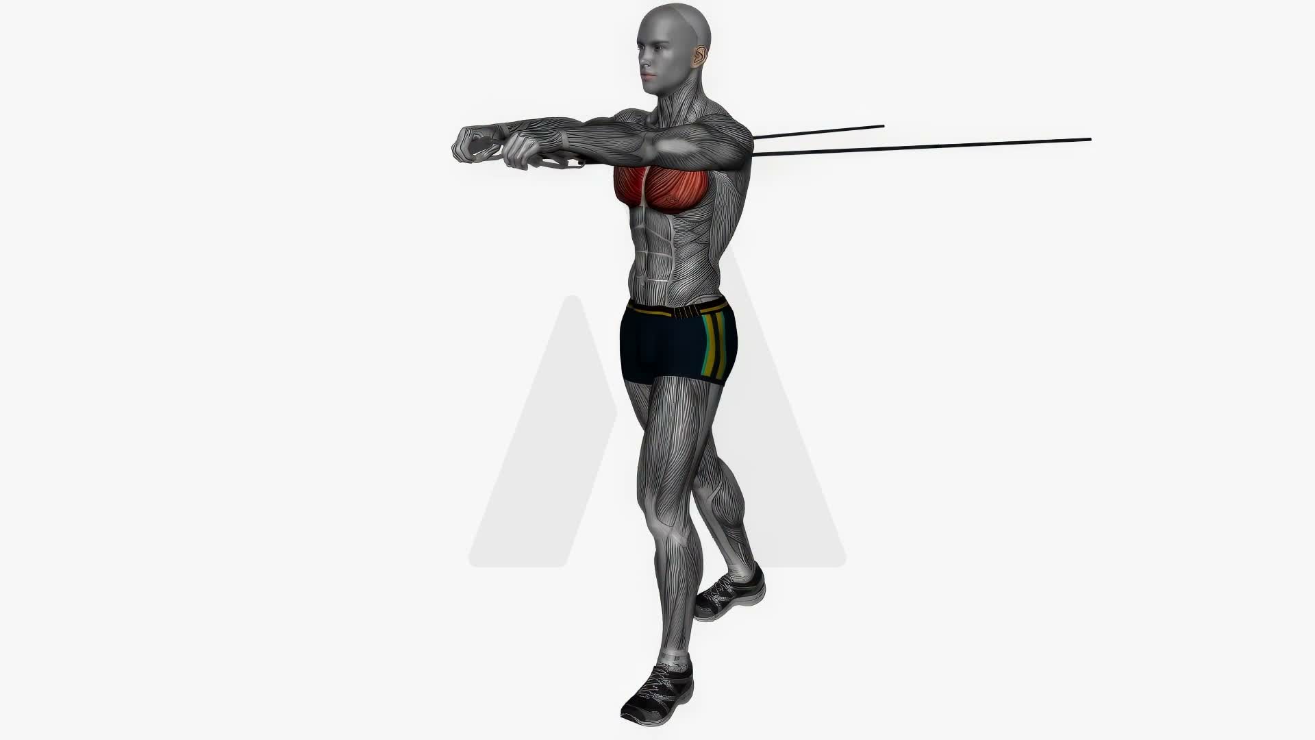 Chest Press Front Resistance Band exercise demonstration
