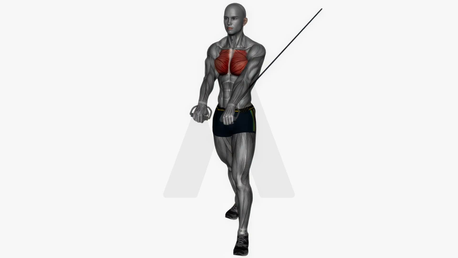 Chest Press High To Low Cable Resistance Band exercise demonstration