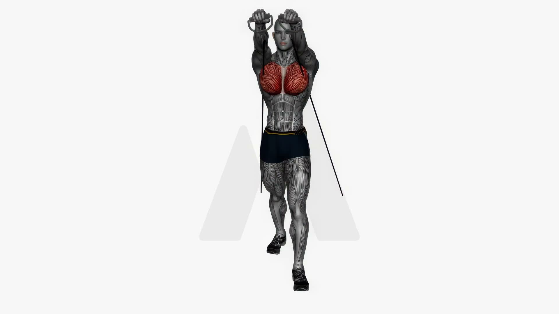 Chest Press Low To High Resistance Band exercise demonstration