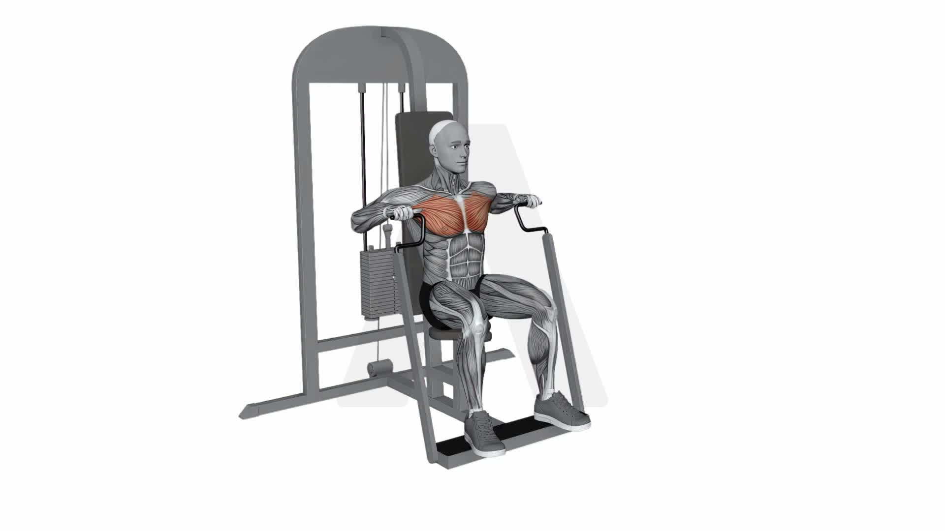 Chest Press Machine exercise demonstration