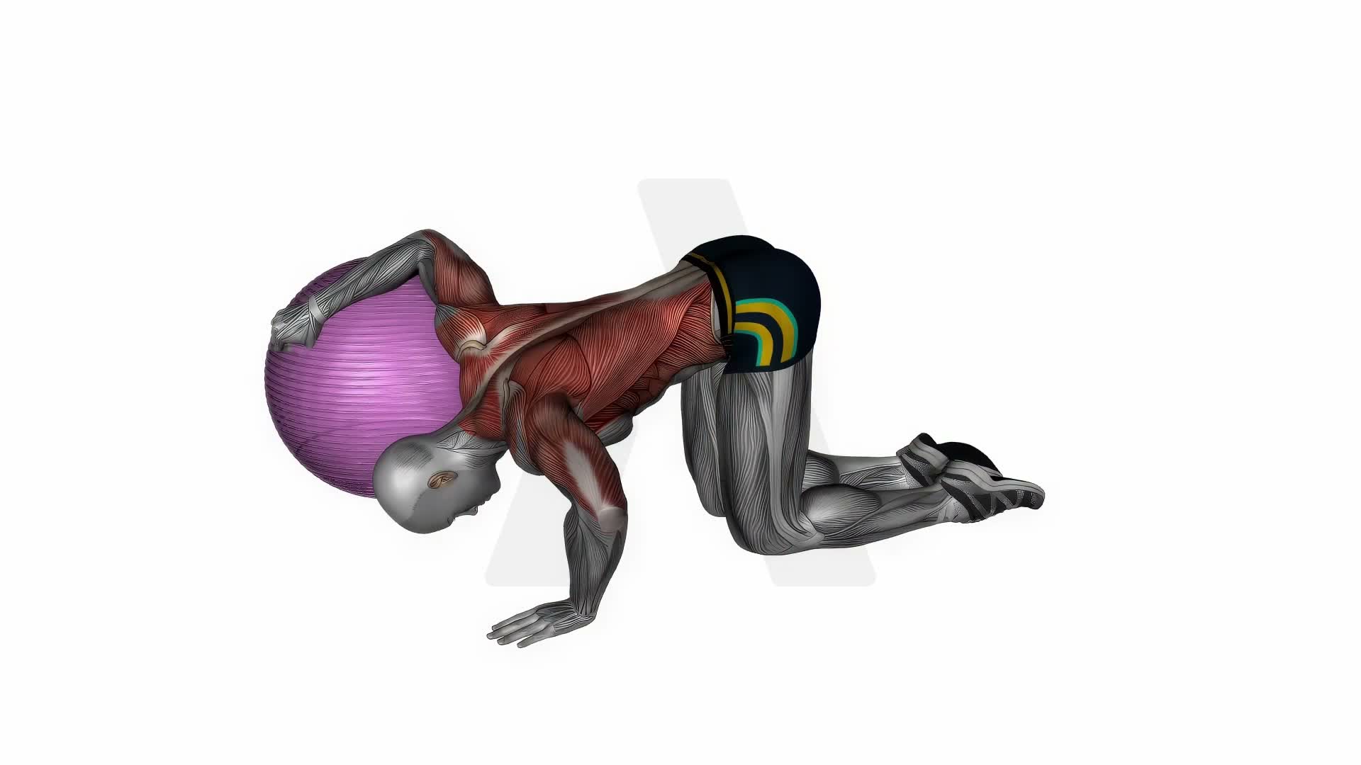Chest Stretch With Exercise Ball exercise demonstration