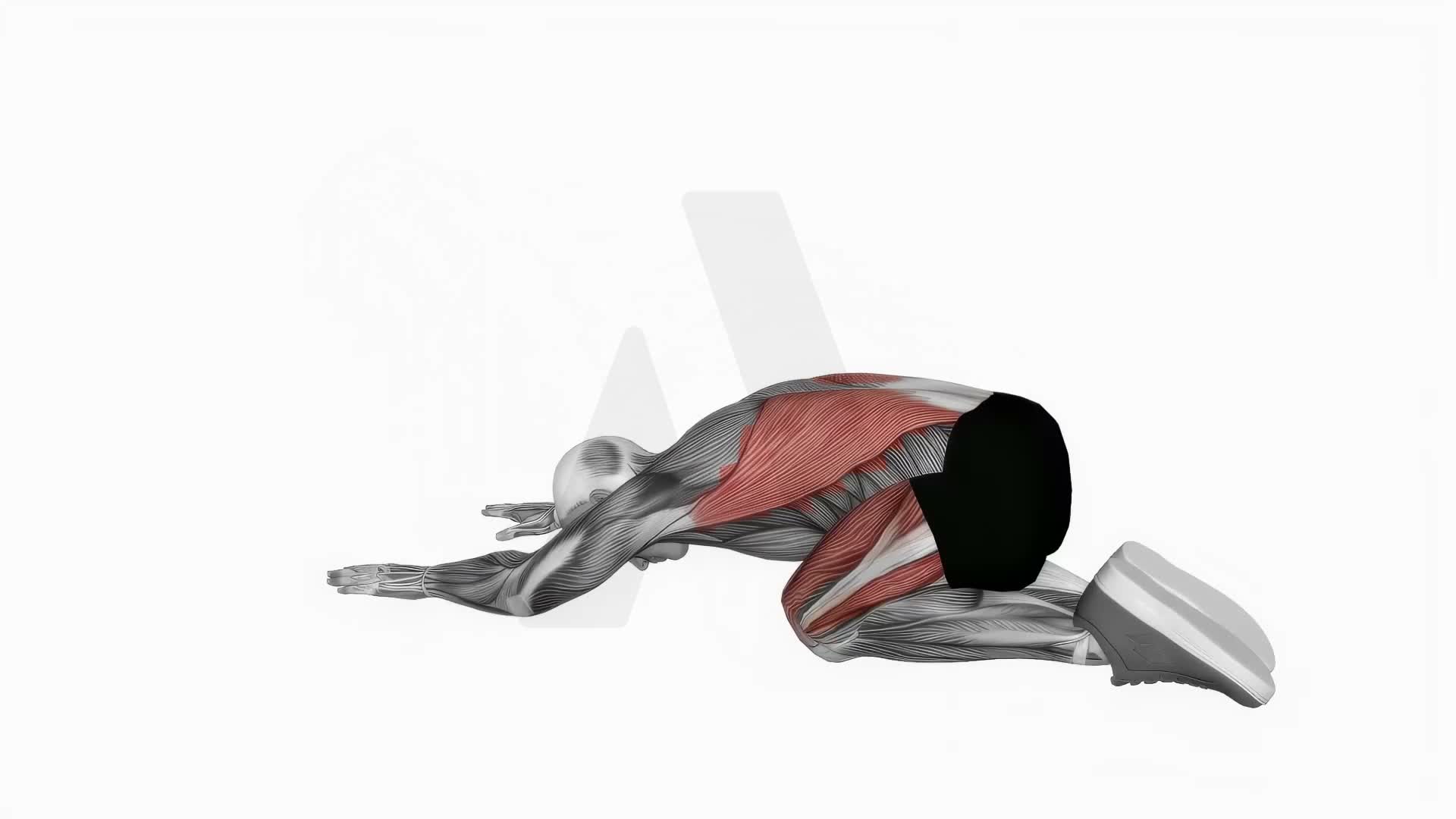 Child Pose exercise demonstration