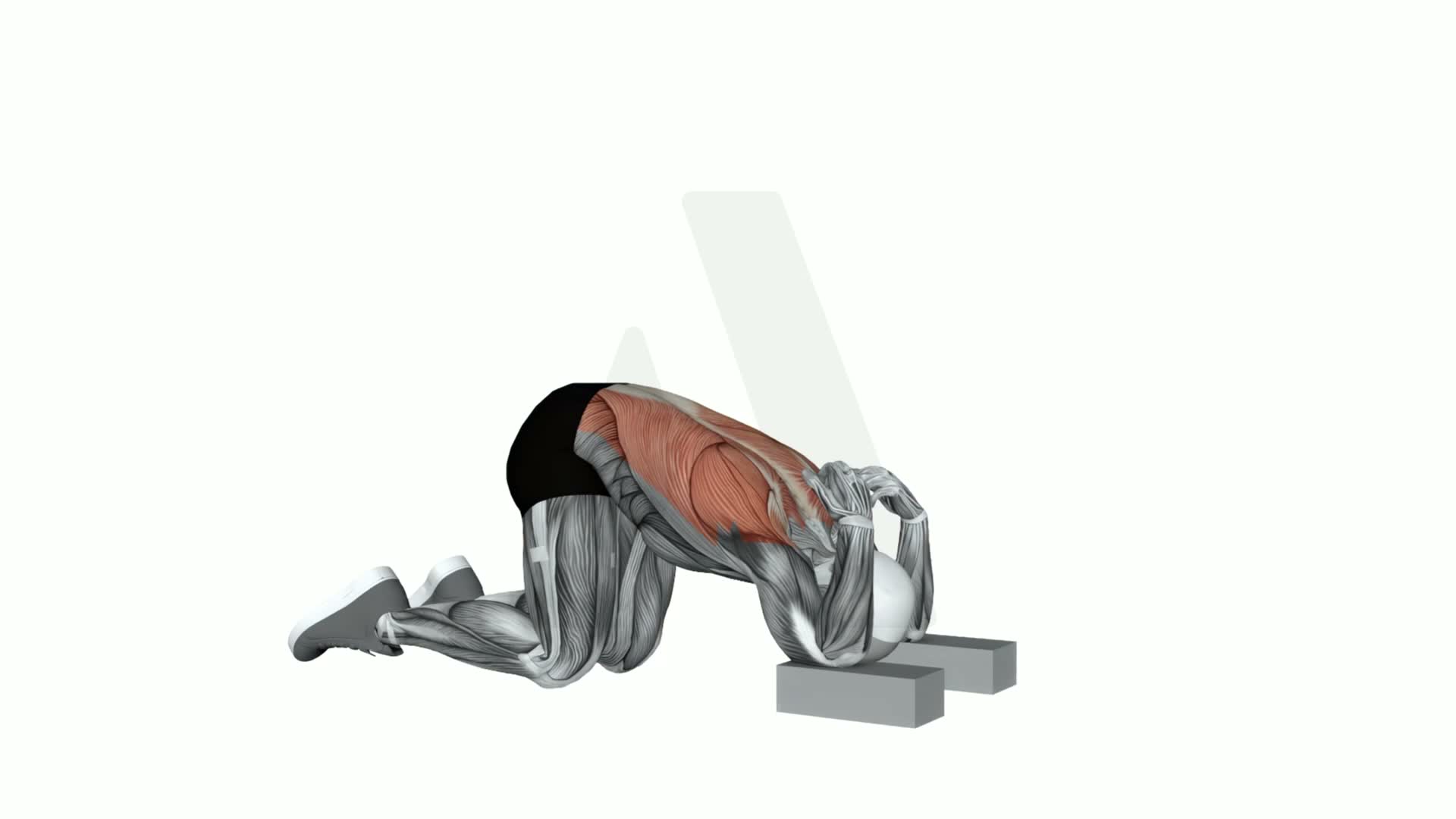 Child Pose Elbows On Block exercise demonstration