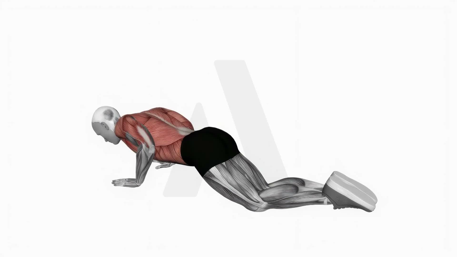 Child Pose Up exercise demonstration