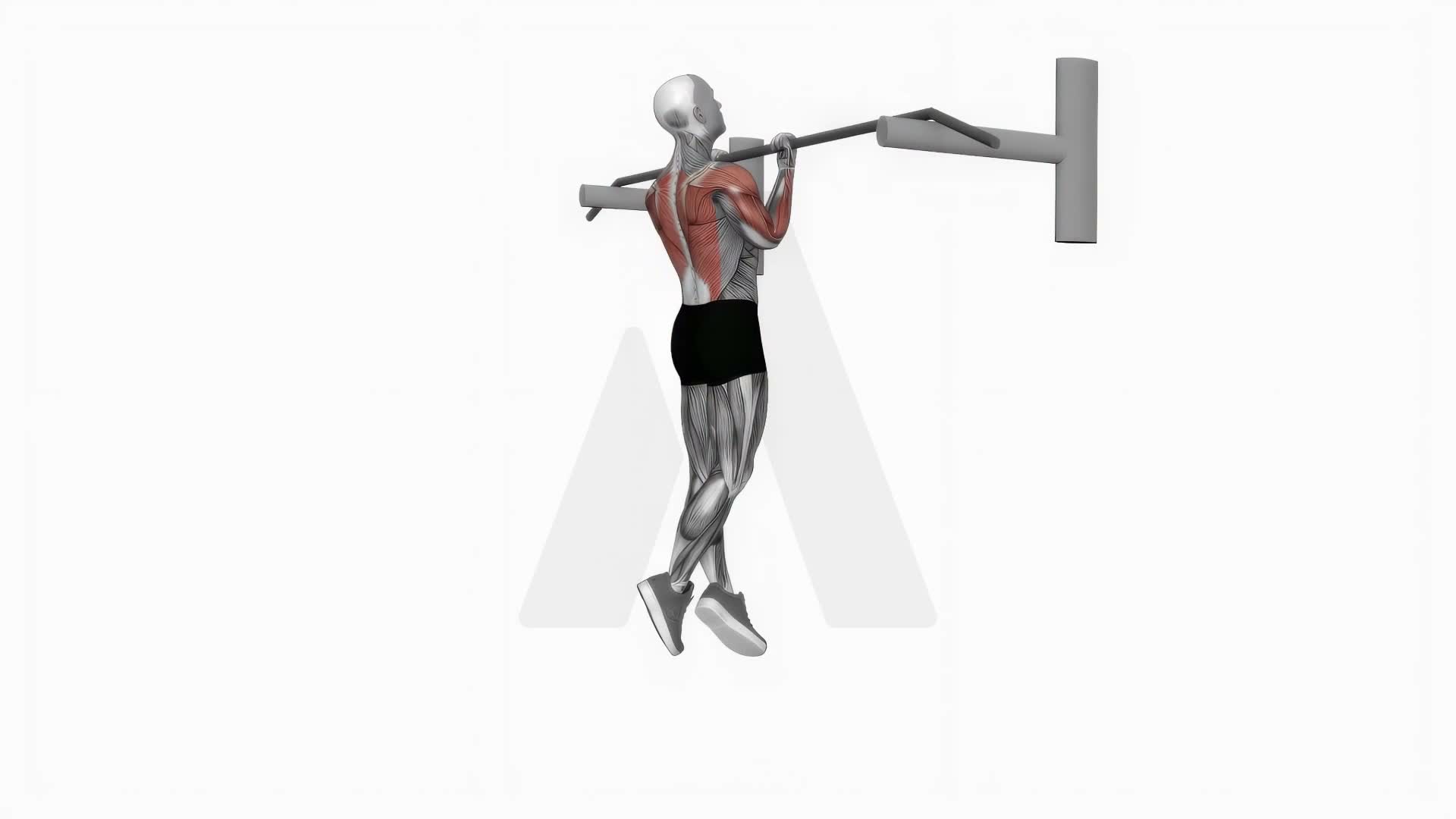 Chin Up exercise demonstration
