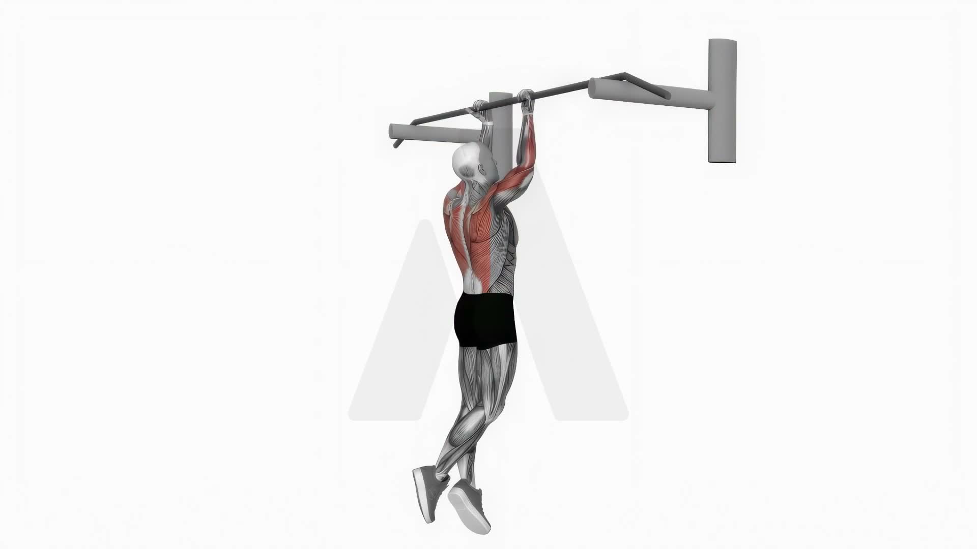 Chin Up (Isometric And Negative) exercise demonstration